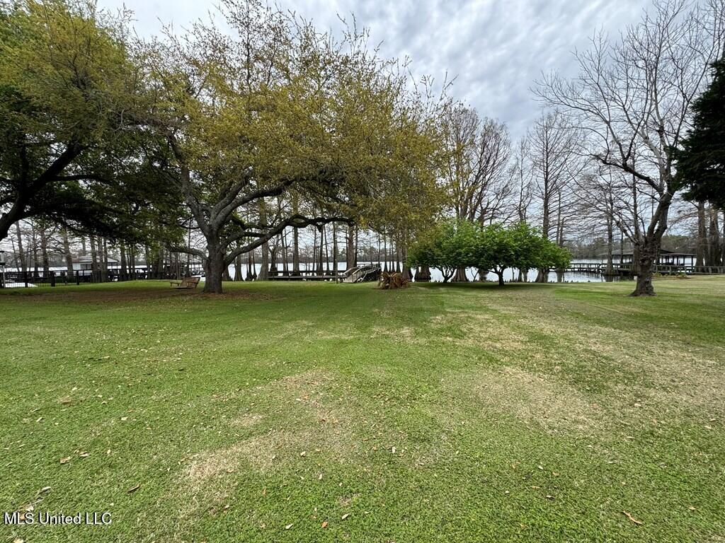 1035 Highway 568 Property Photo 8