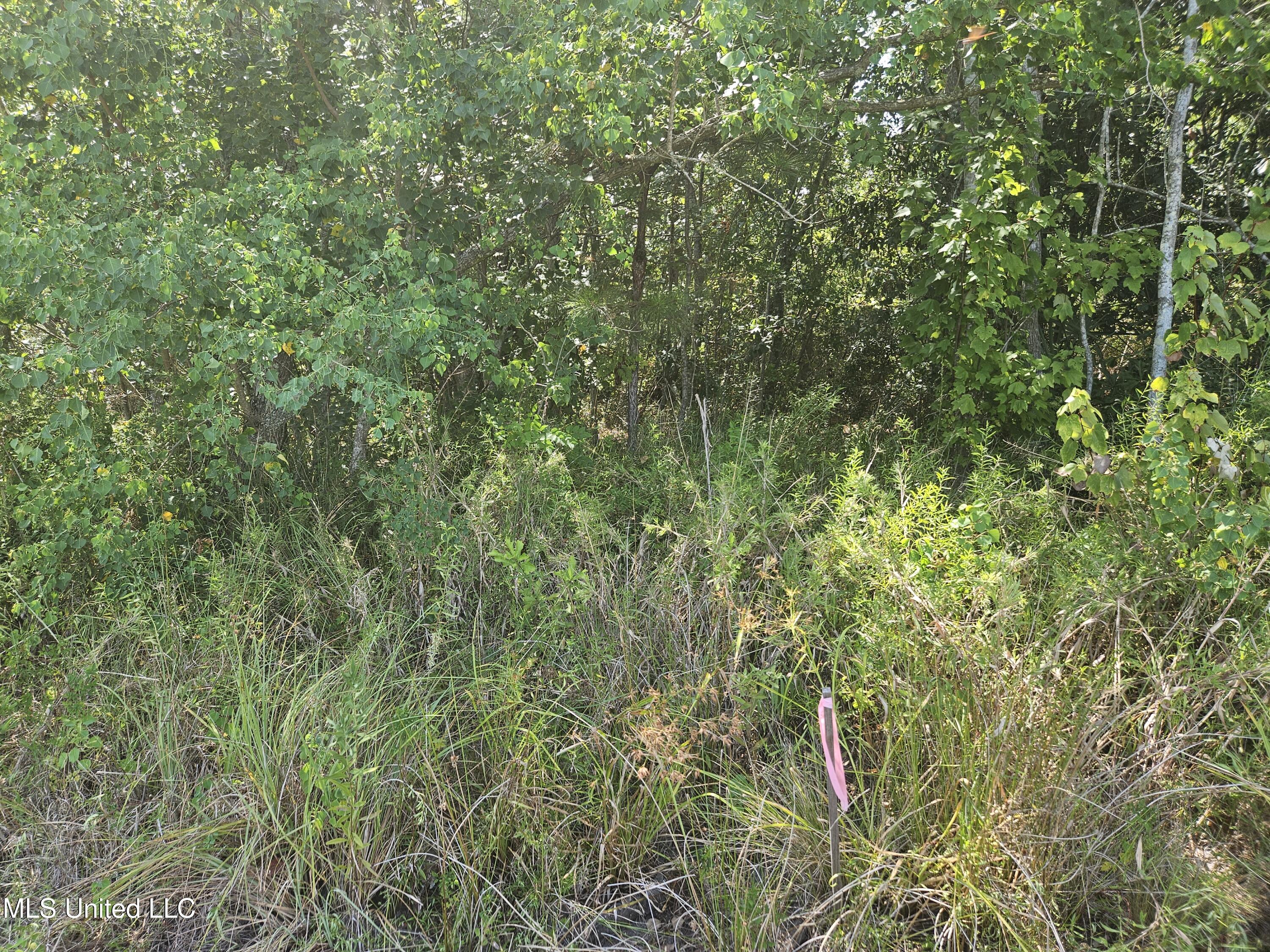 0 Highway 49 Property Photo 5