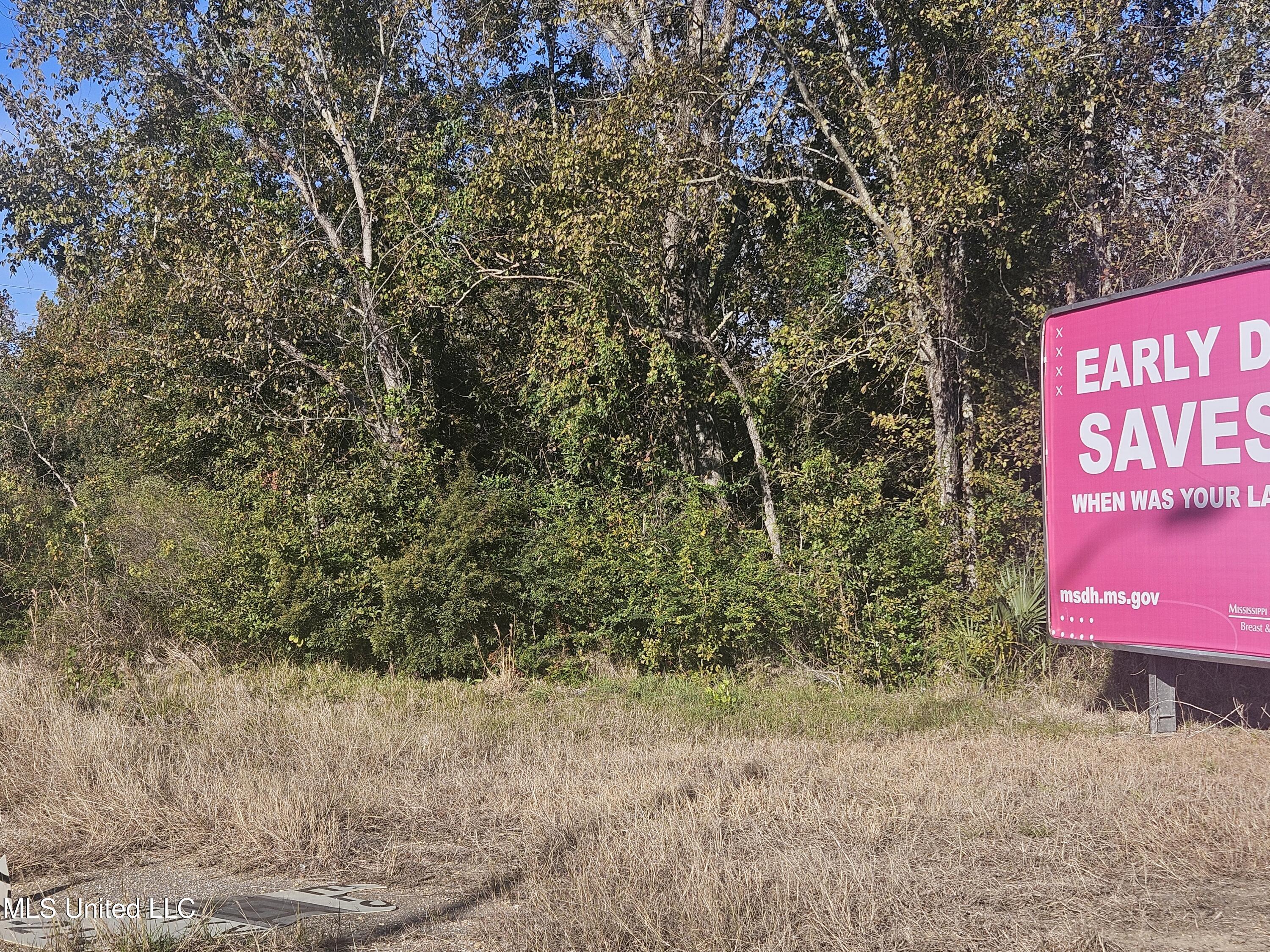 0 Highway 49 Property Photo 6