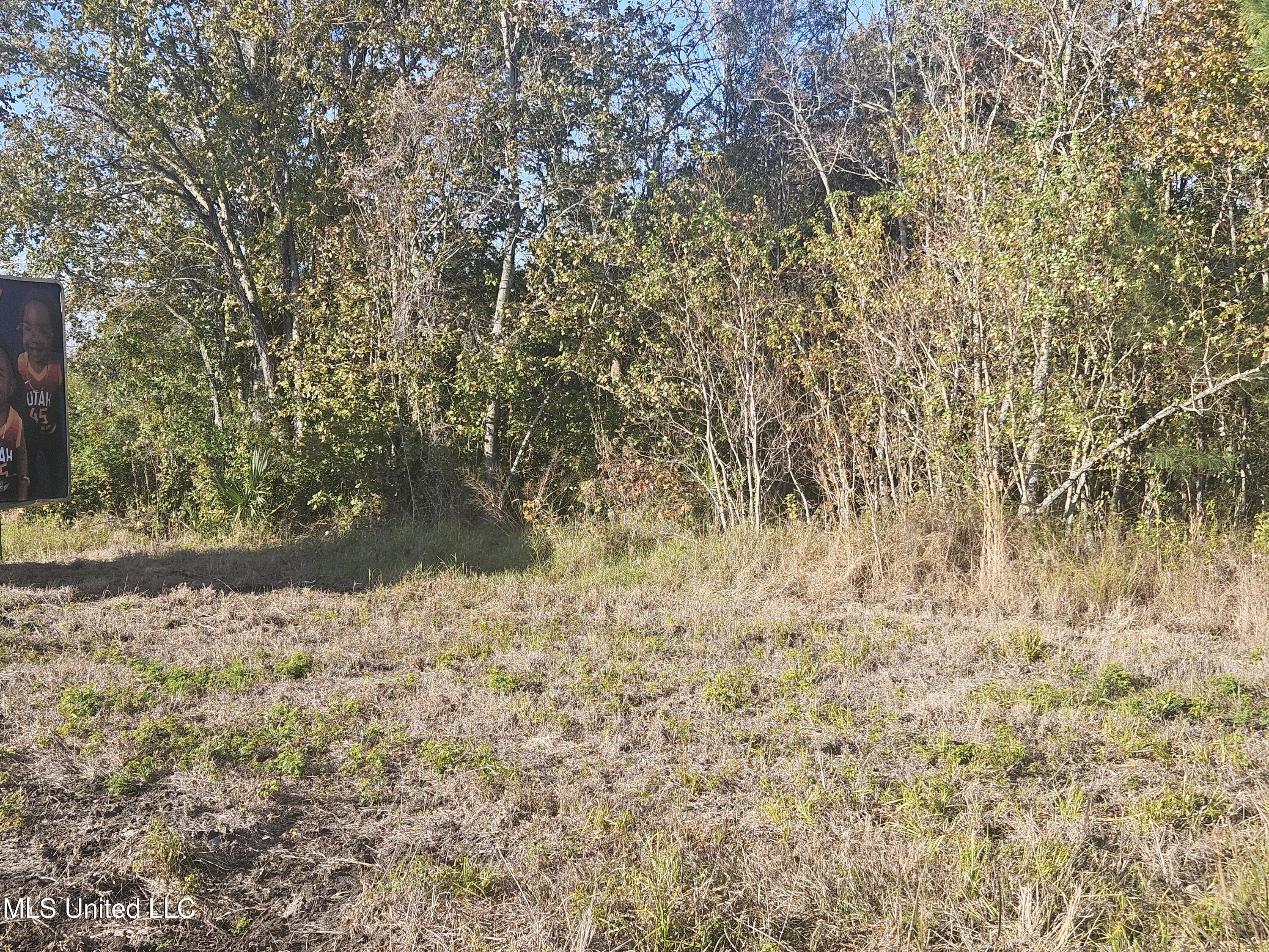 0 Highway 49 Property Photo 8