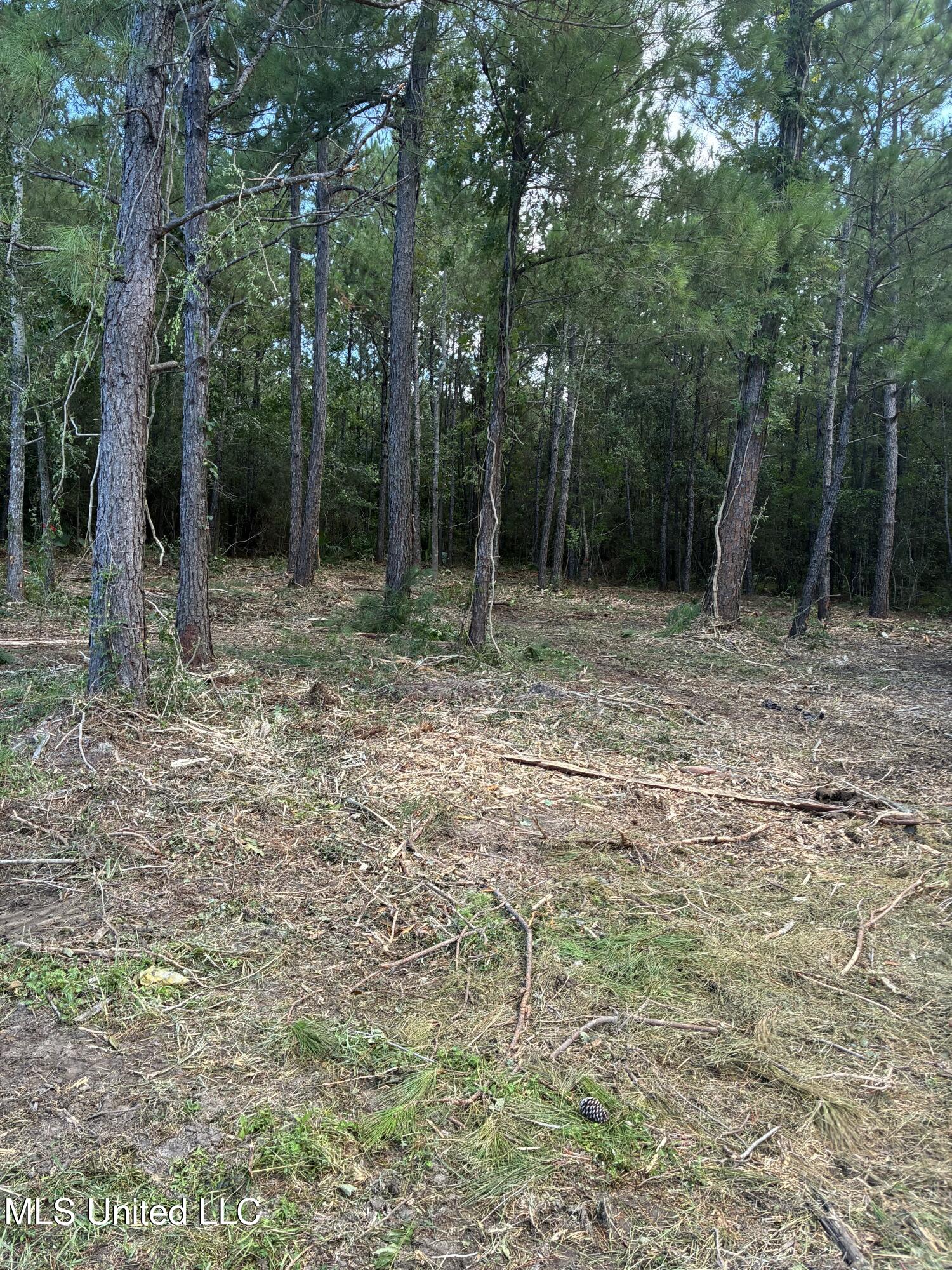 Henderson Avenue Property Photo 1
