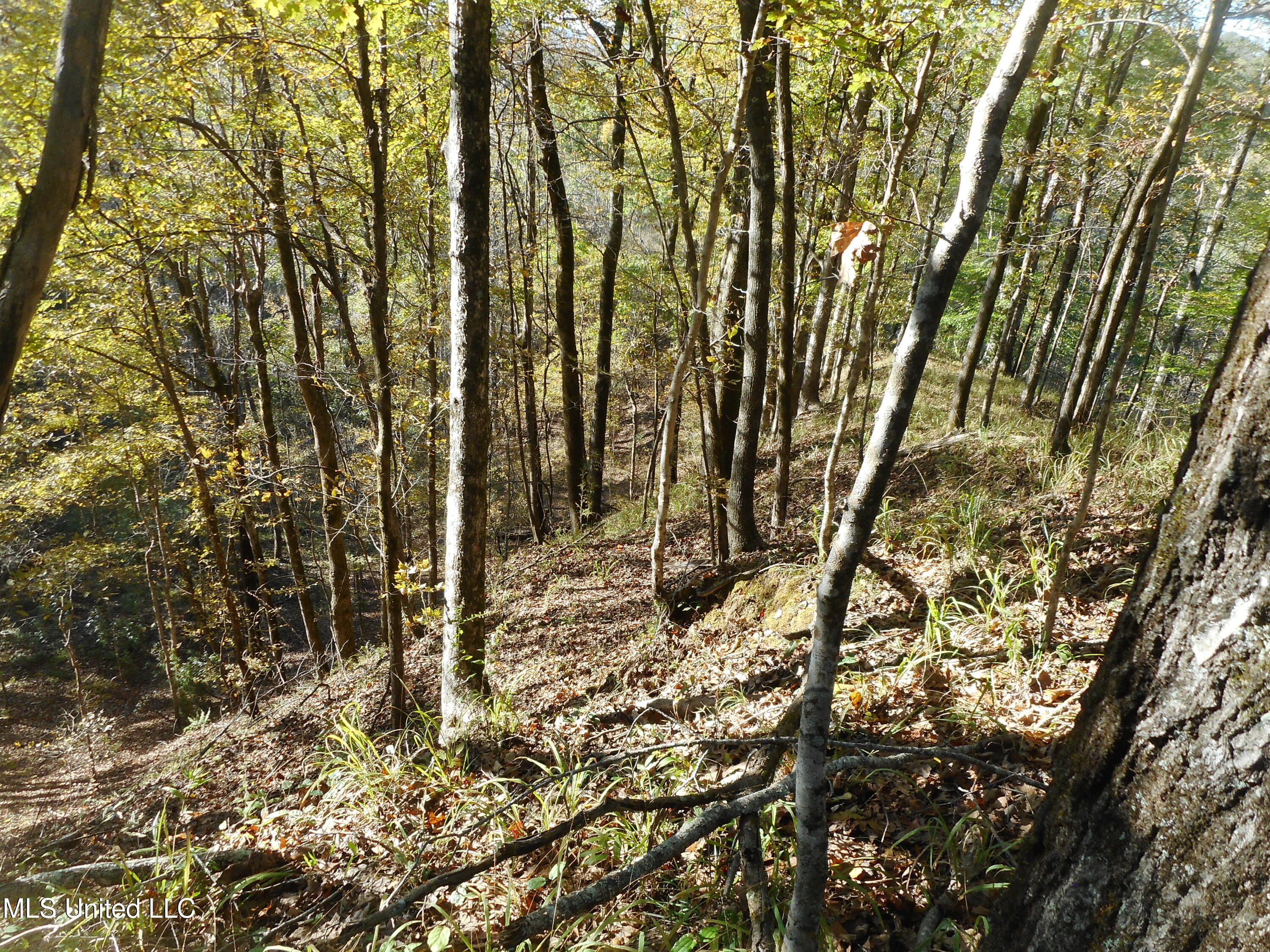 Perry Creek Road