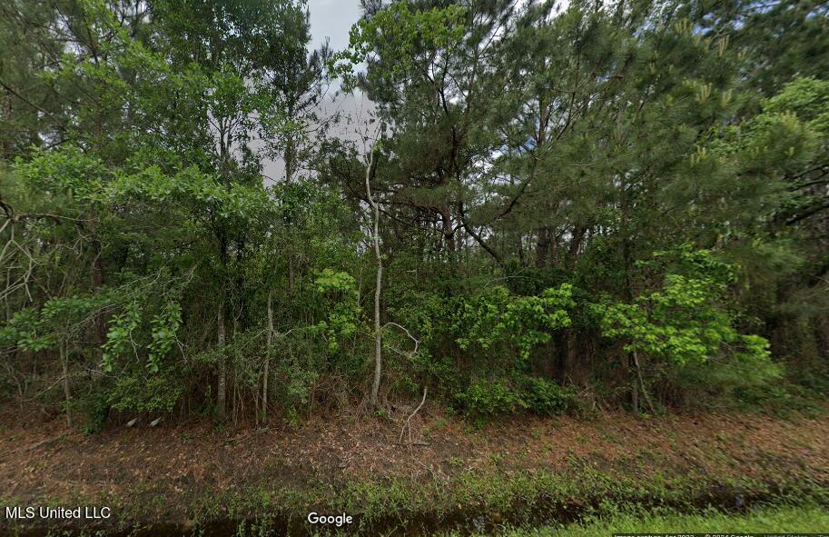 0 Tenth Avenue Property Photo 1