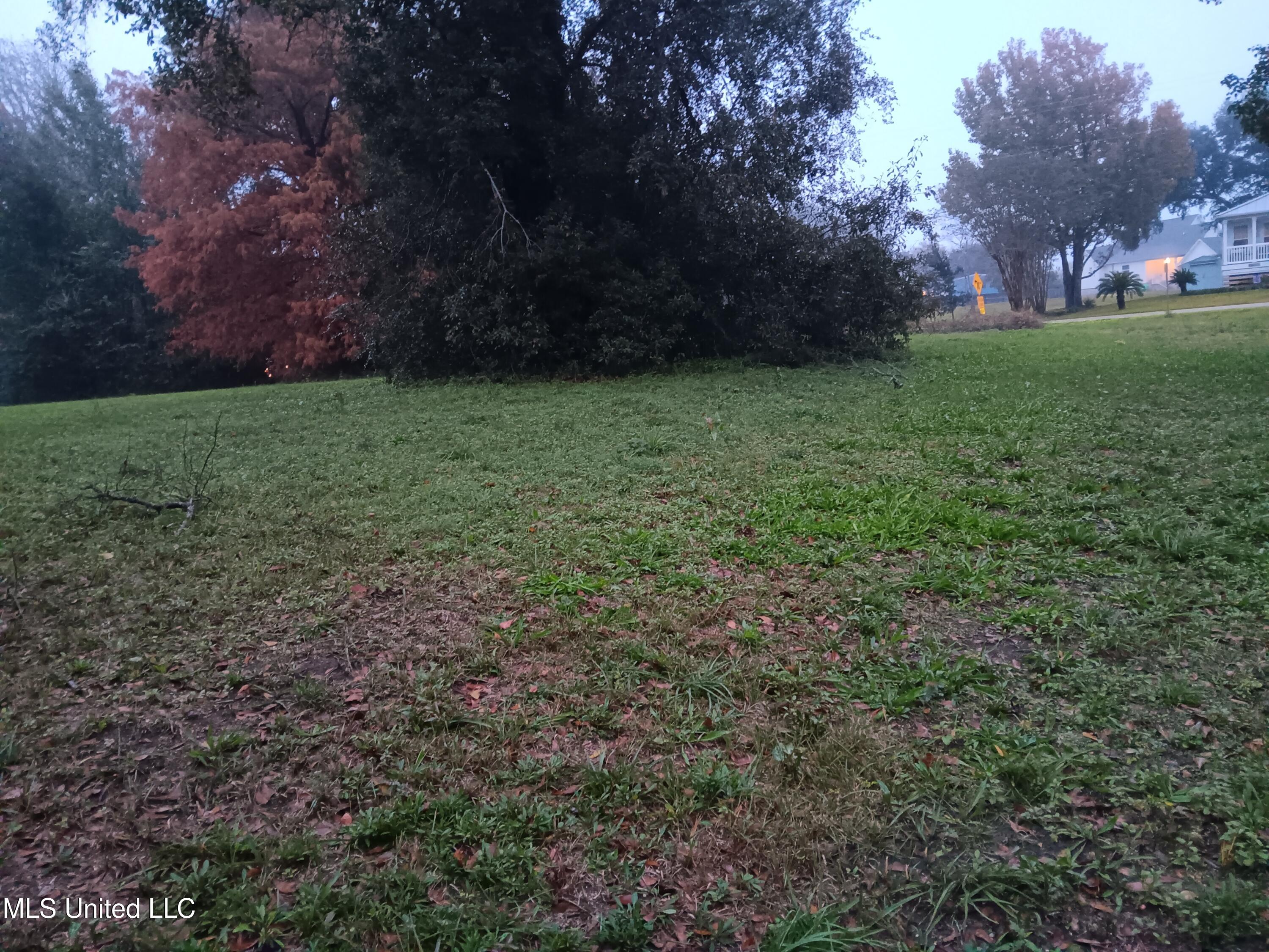 S Island View Avenue Property Photo 1
