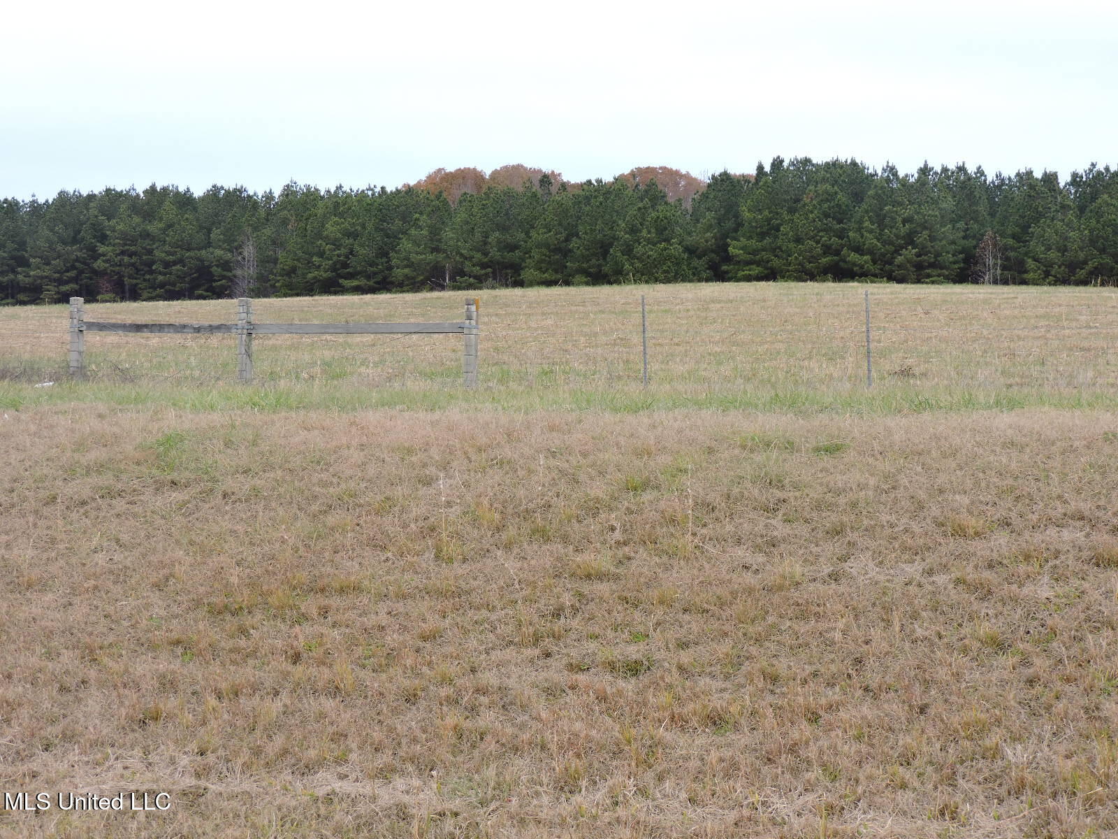 0 Fogg Rd Property Photo 4