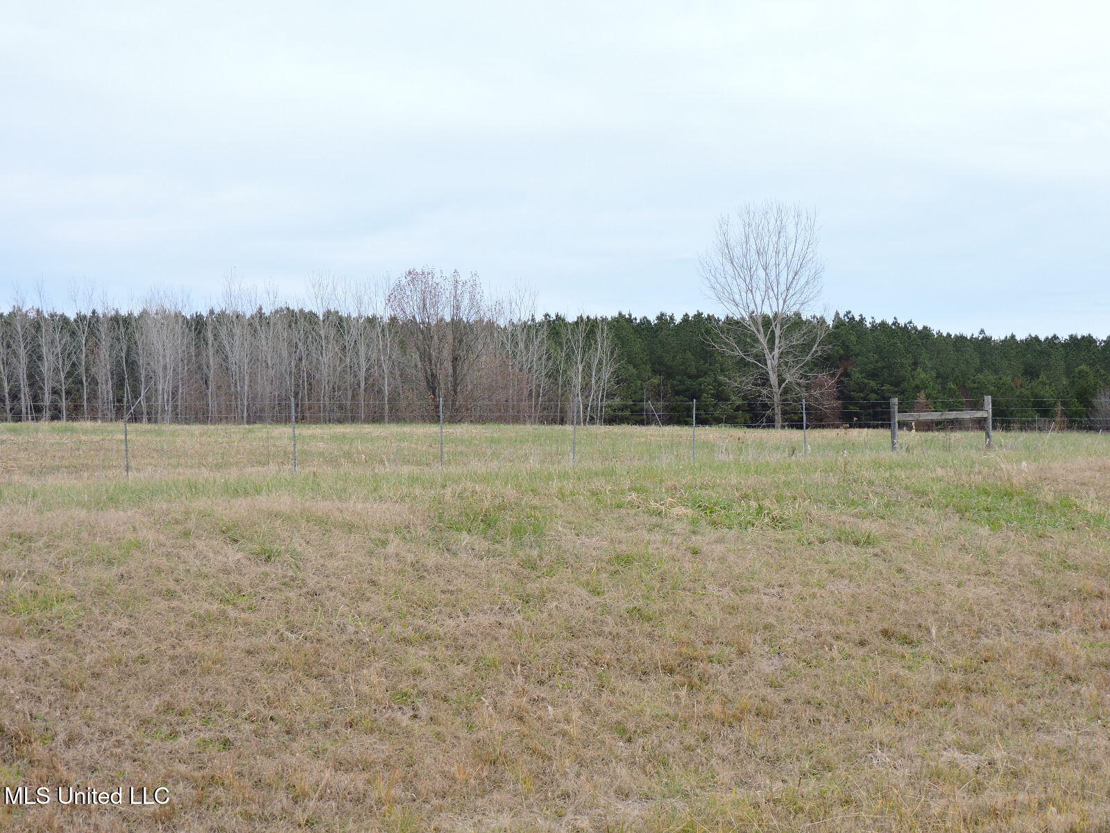 0 Fogg Rd Property Photo 5