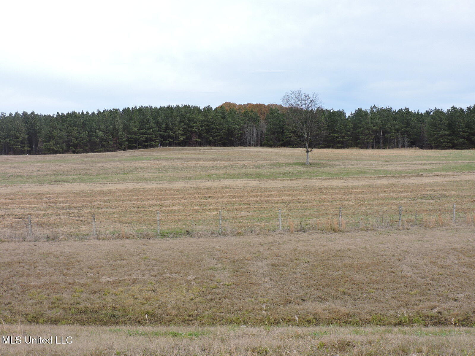0 Fogg Rd Property Photo 7