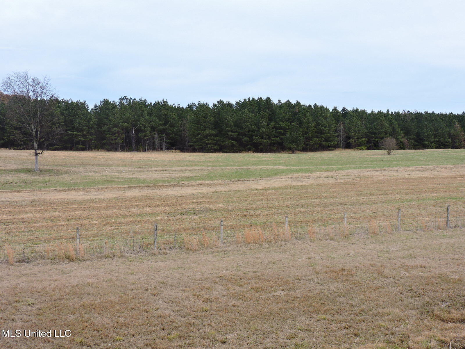 0 Fogg Rd Property Photo 8