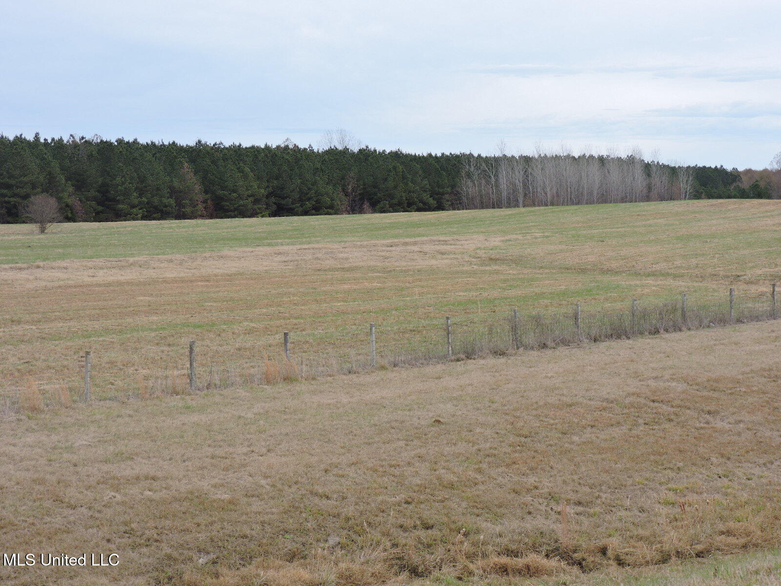 0 Fogg Rd Property Photo 9
