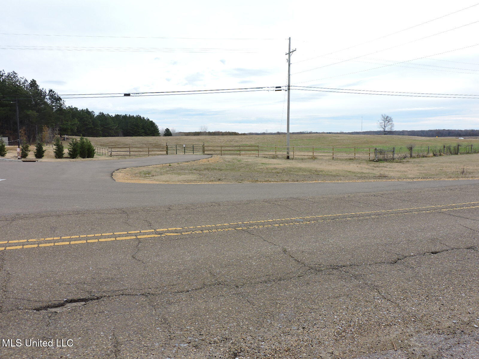 0 Fogg Rd Property Photo 12