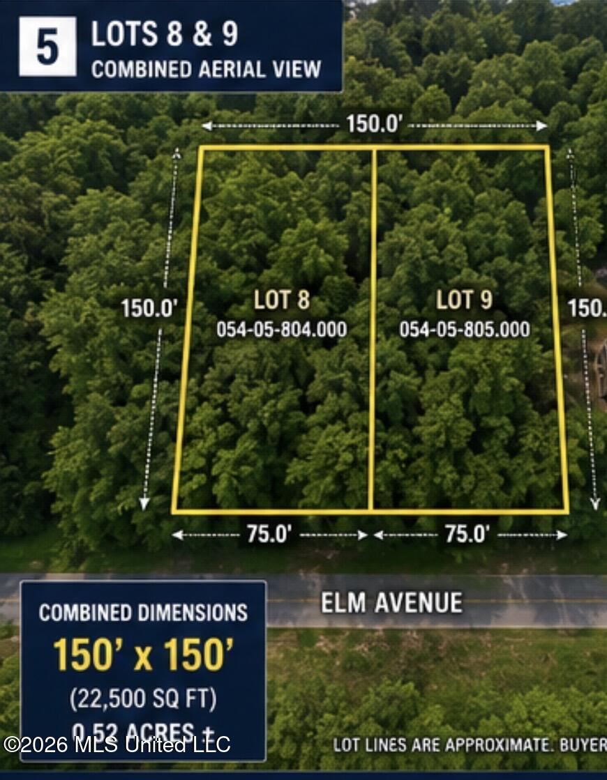 Elm Avenue Property Photo 4