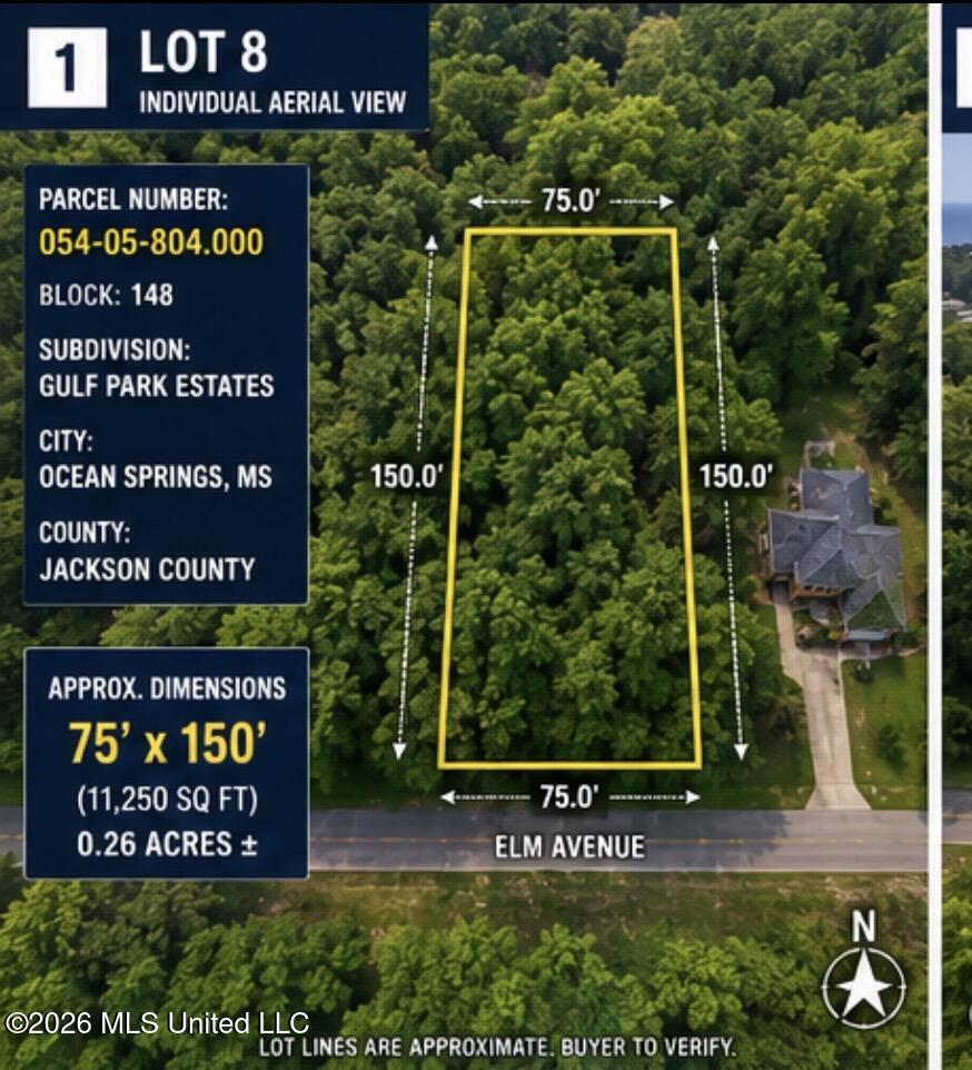 Elm Avenue Property Photo 5