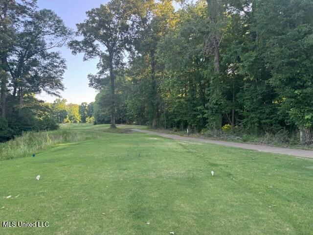 Fairway Drive Property Photo 3
