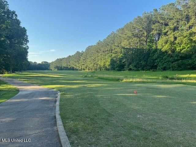 Fairway Drive Property Photo 9
