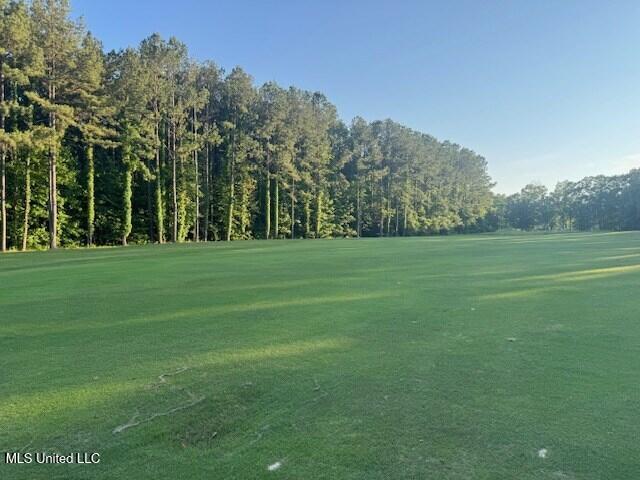 Fairway Drive Property Photo 13