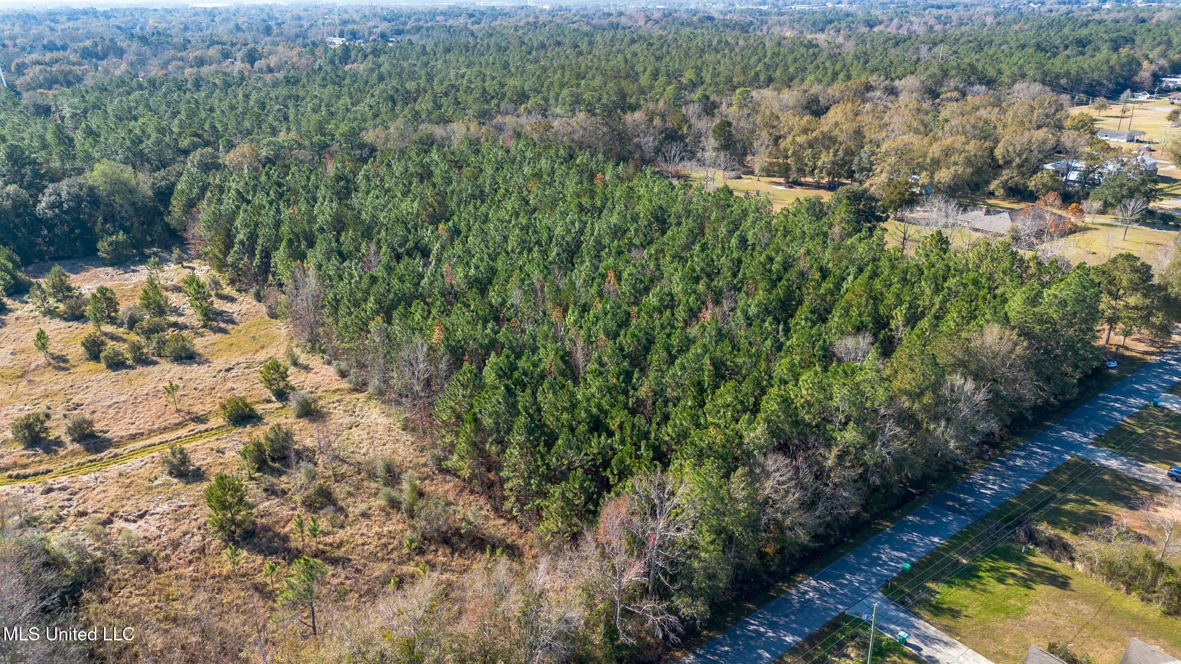 Mays Road Property Photo 4