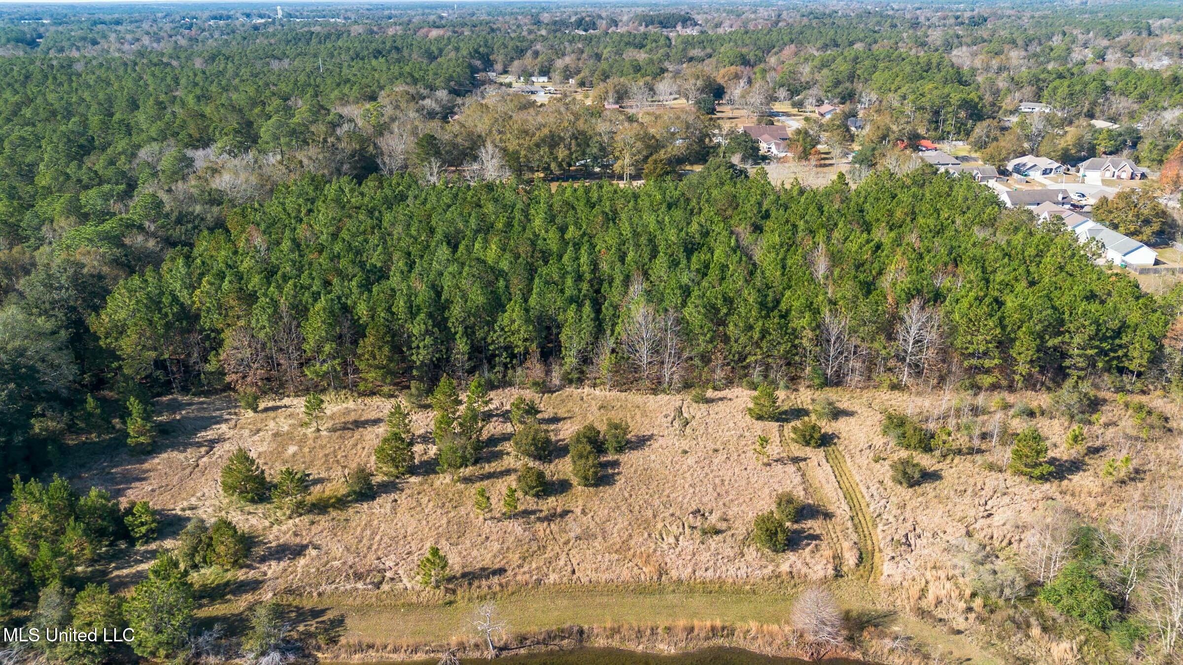 Mays Road Property Photo 5