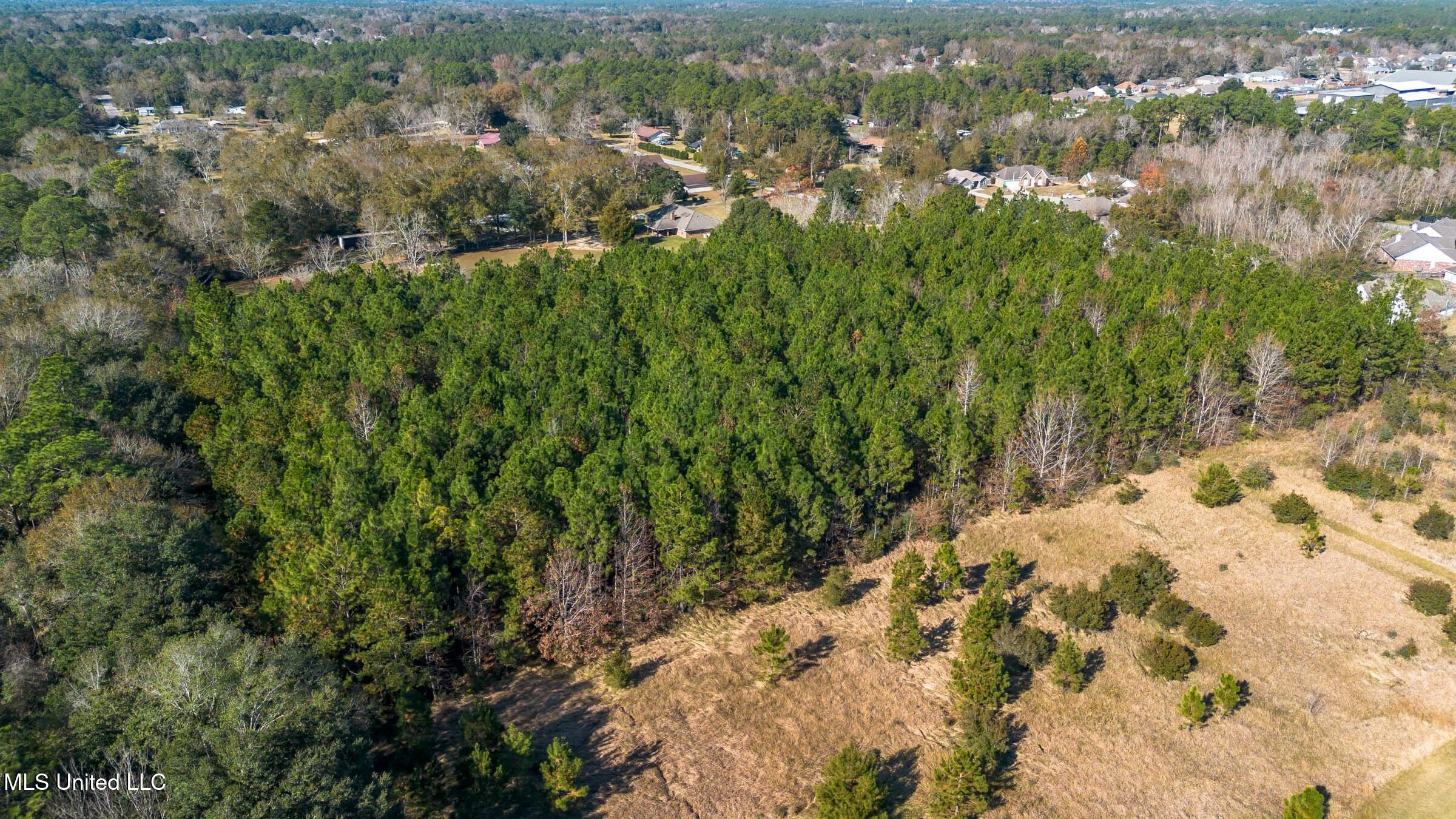 Mays Road Property Photo 6