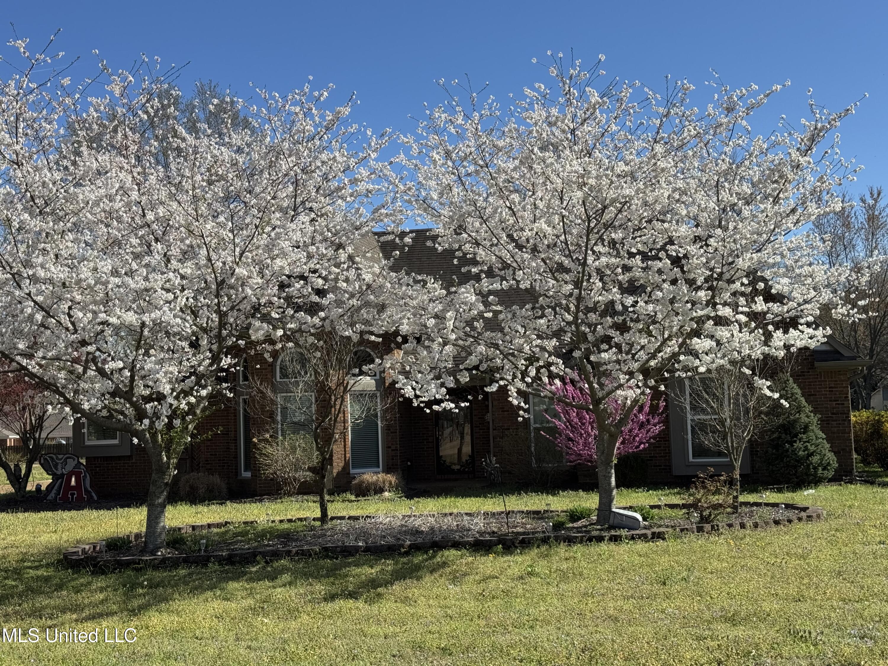 8450 Deercreek Circle Property Photo 1
