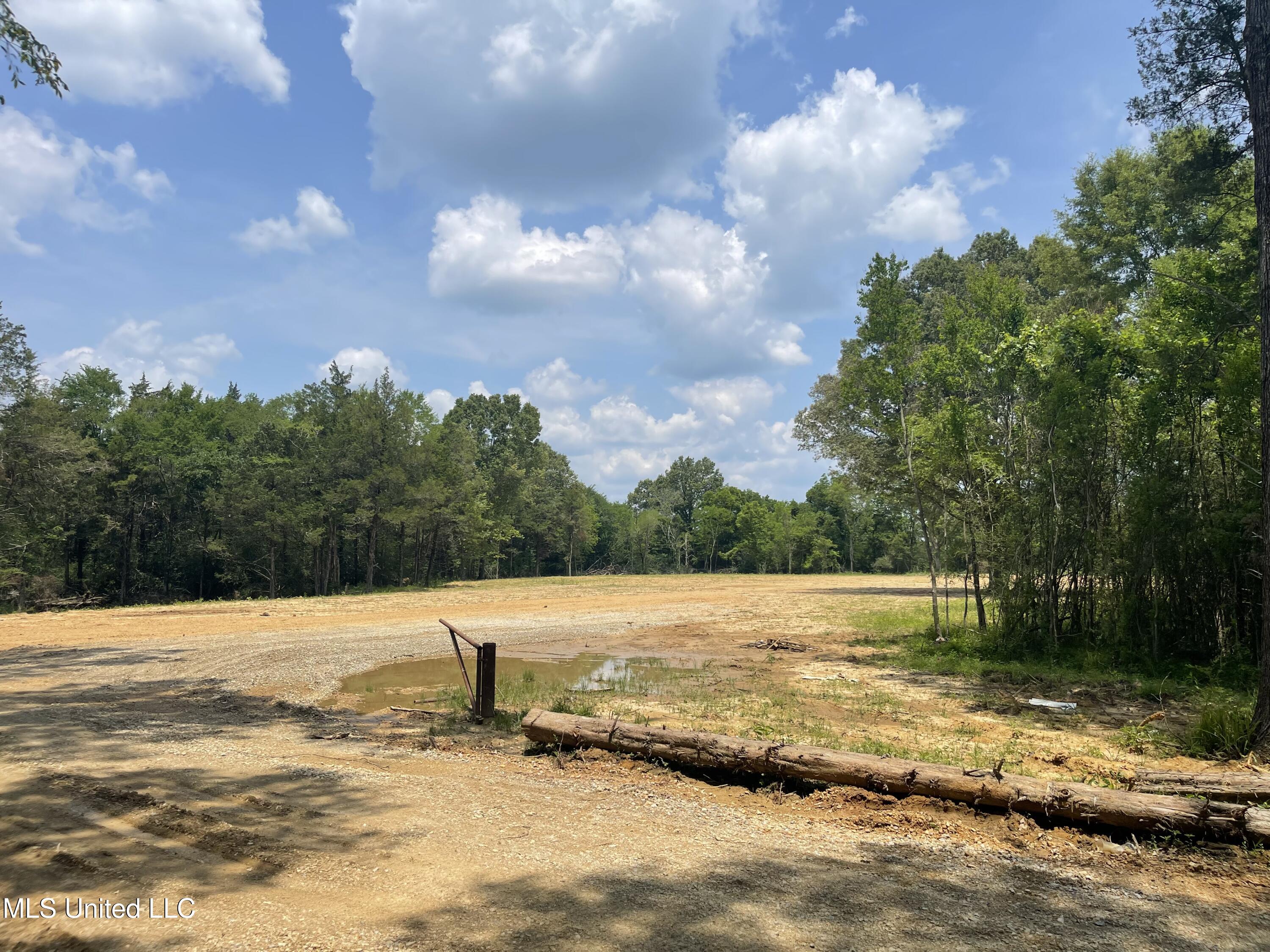 2401-2463 Maddox Road Property Photo 3