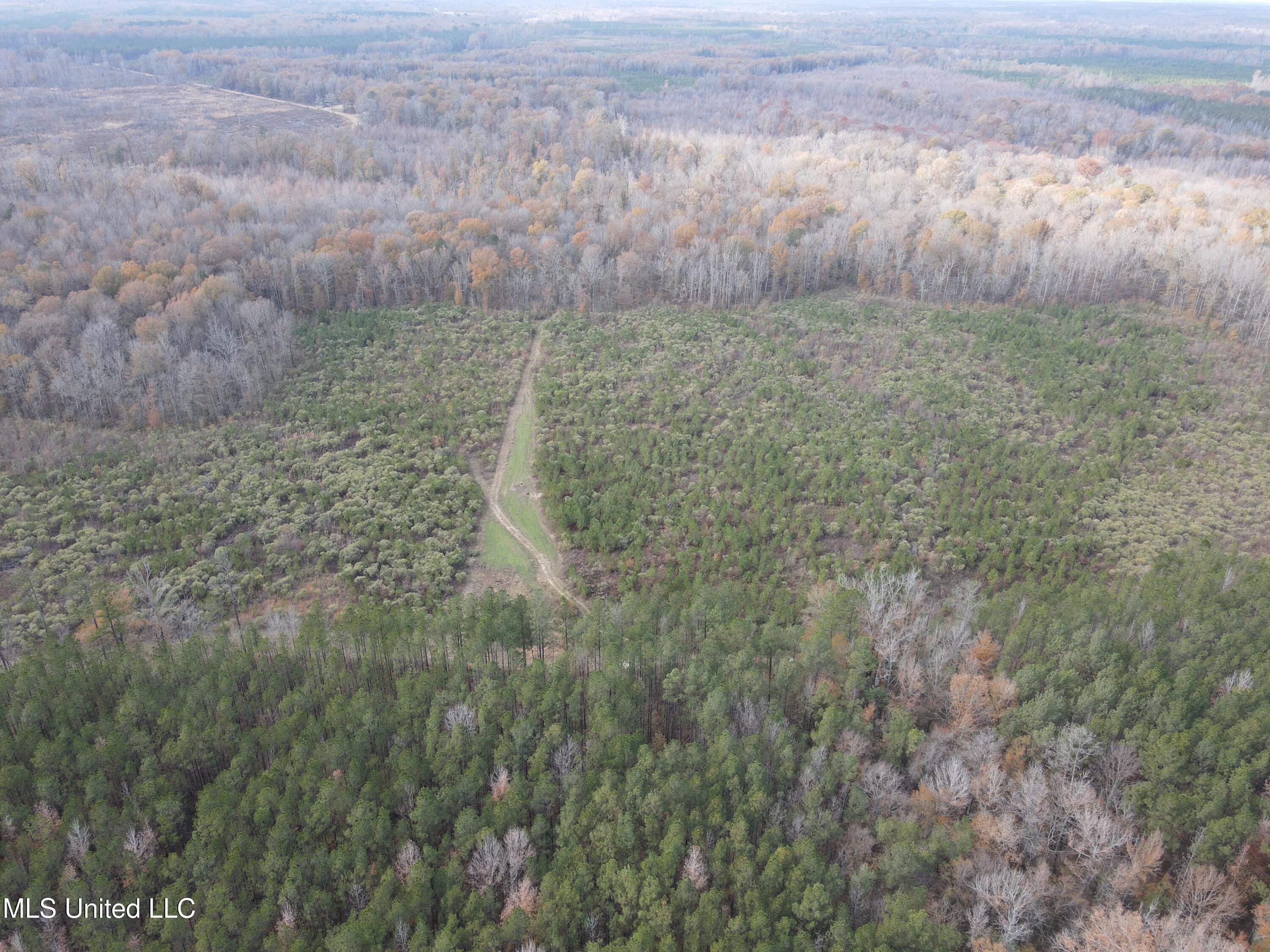 Coal Bluff Road Property Photo 4