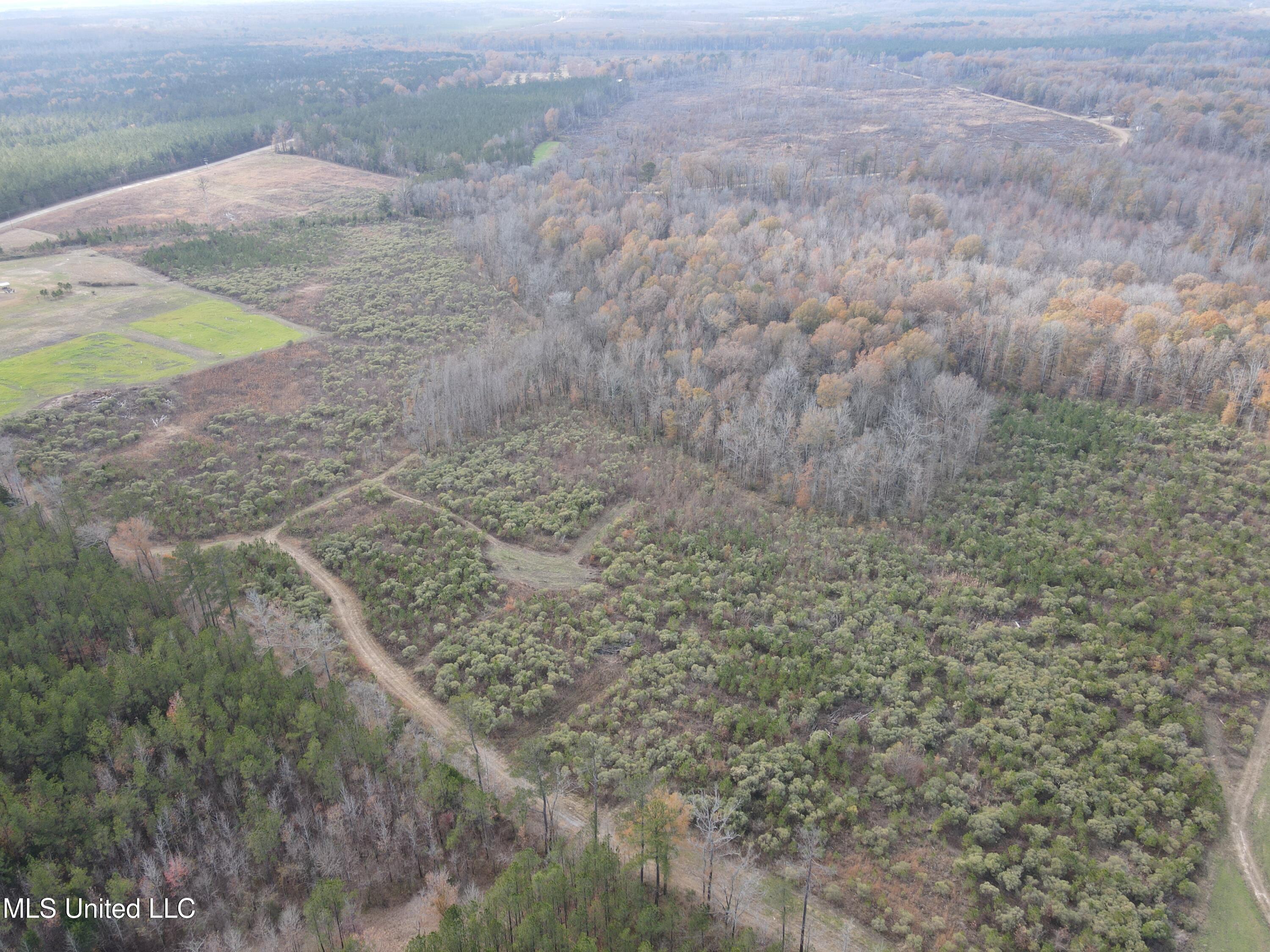 Coal Bluff Road Property Photo 5