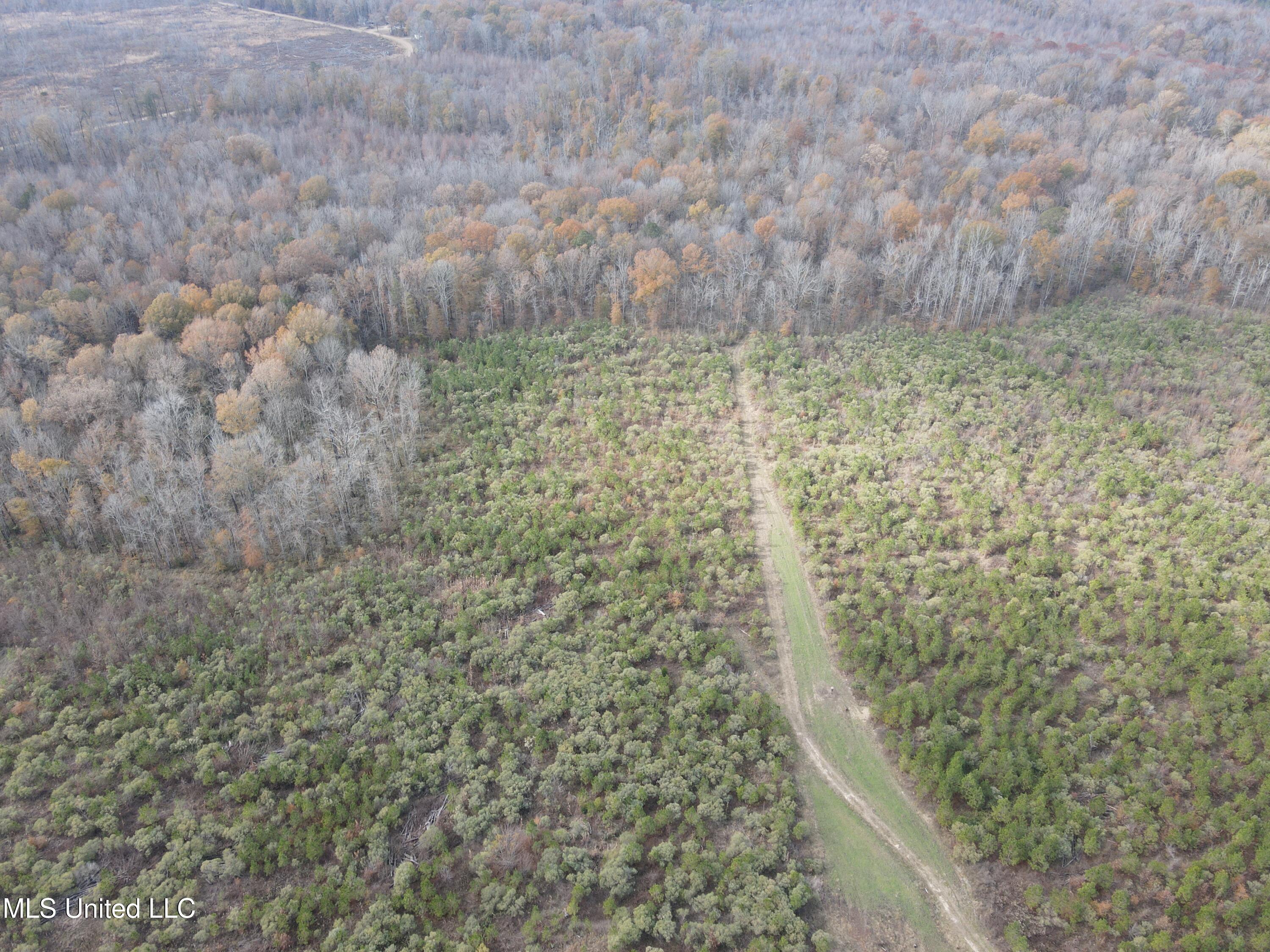 Coal Bluff Road Property Photo 6