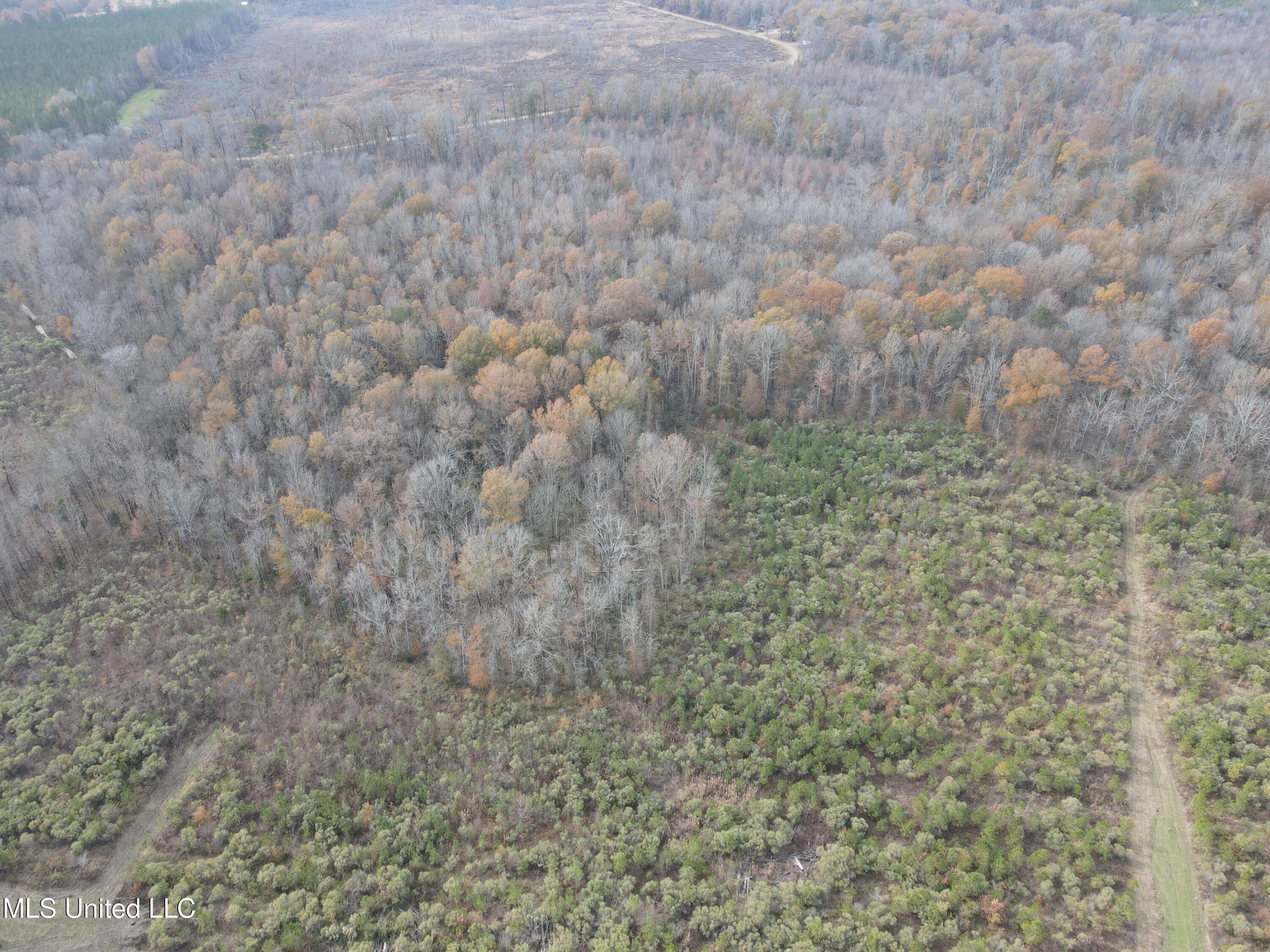 Coal Bluff Road Property Photo 7