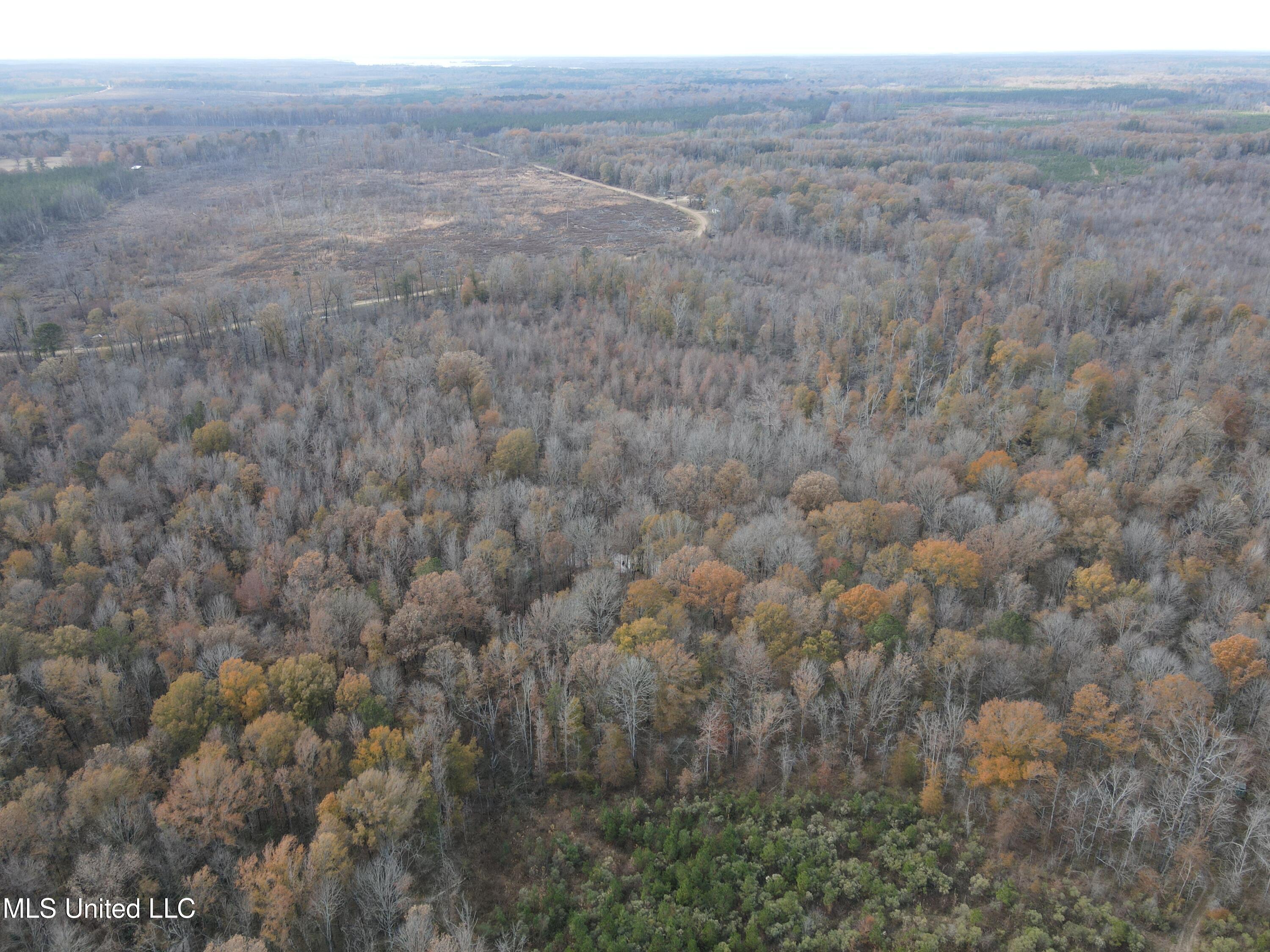 Coal Bluff Road Property Photo 8