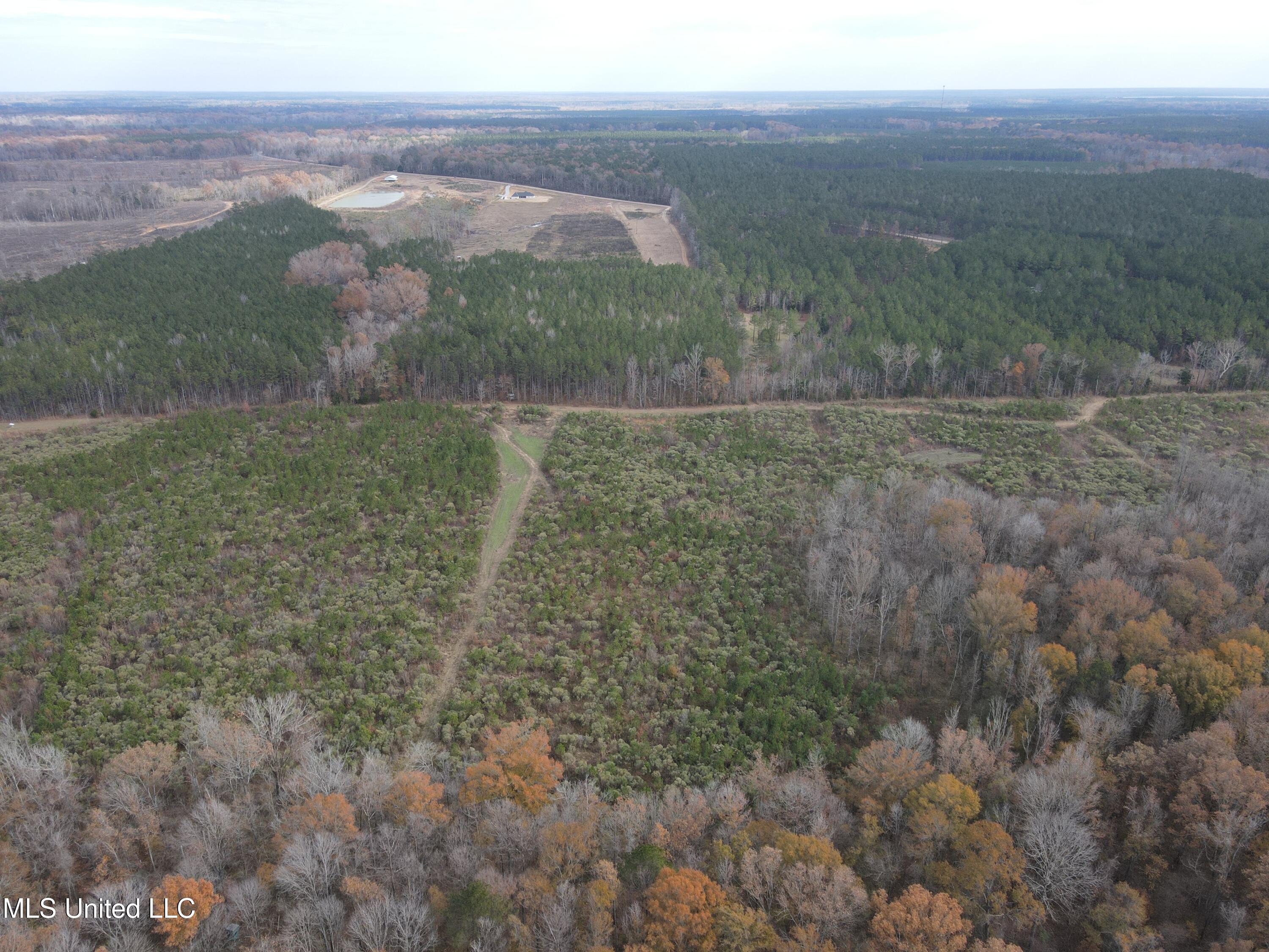Coal Bluff Road Property Photo 11