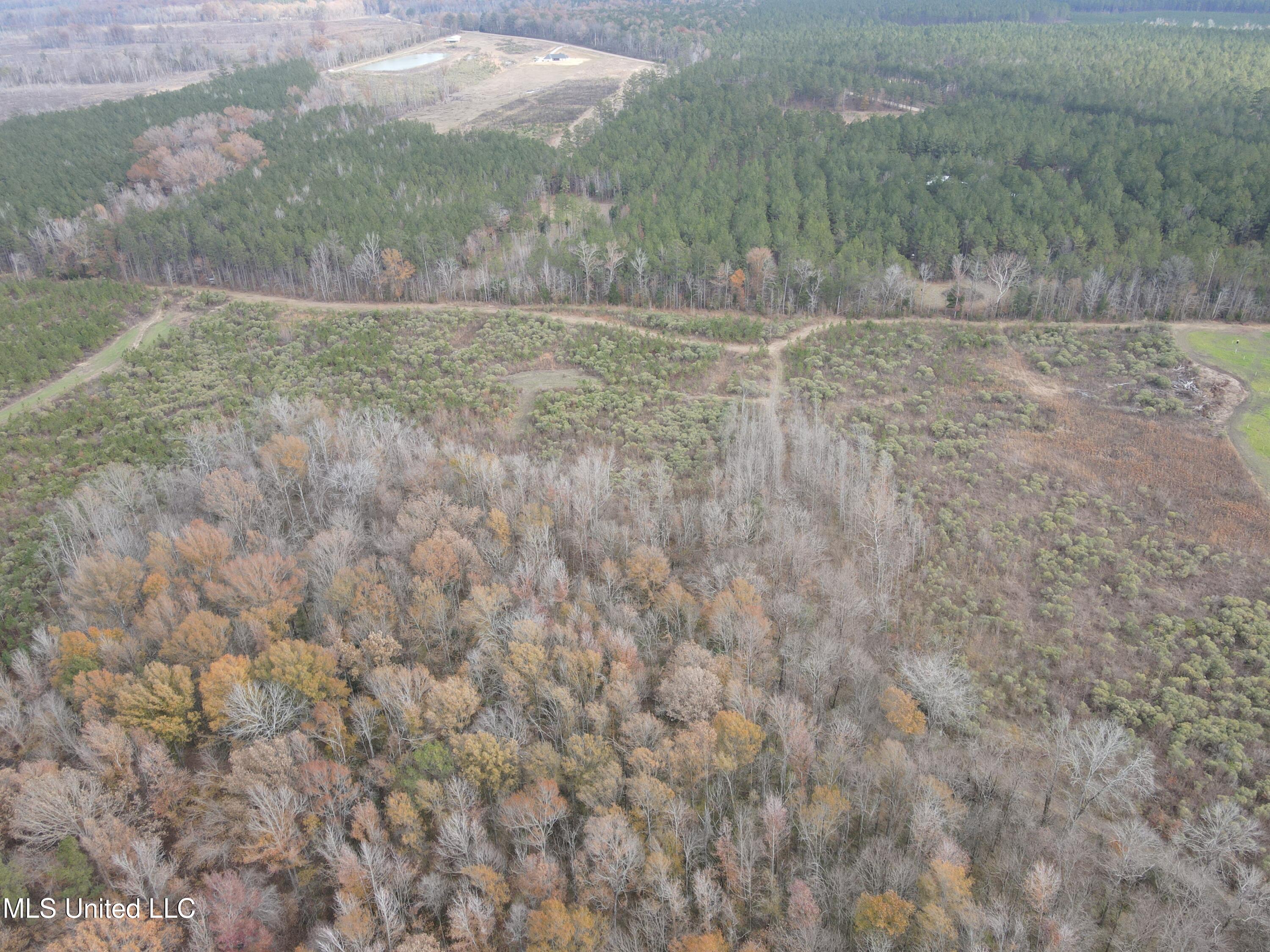Coal Bluff Road Property Photo 12