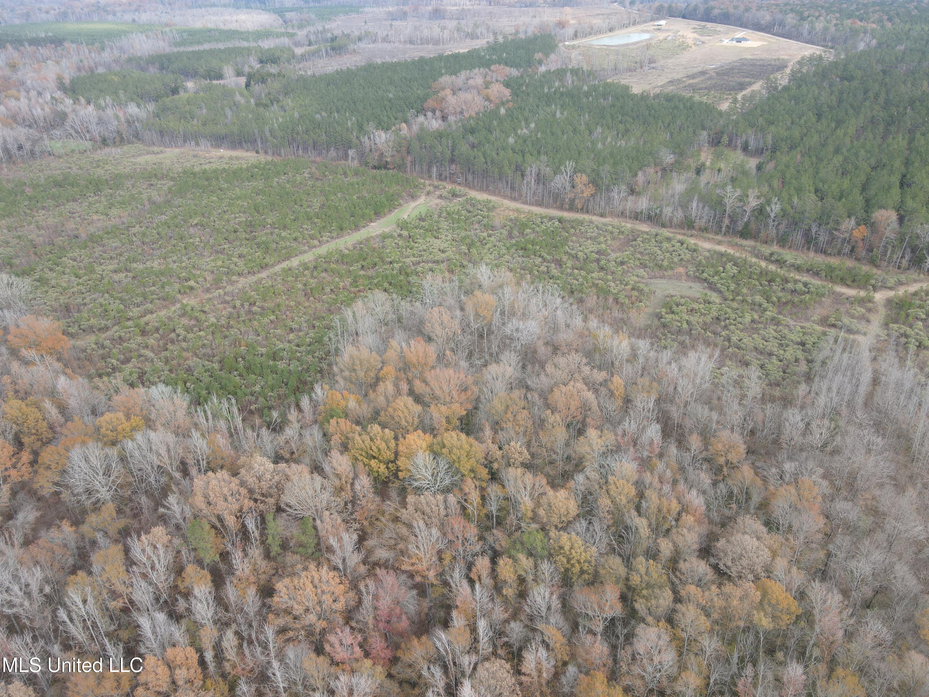 Coal Bluff Road Property Photo 13