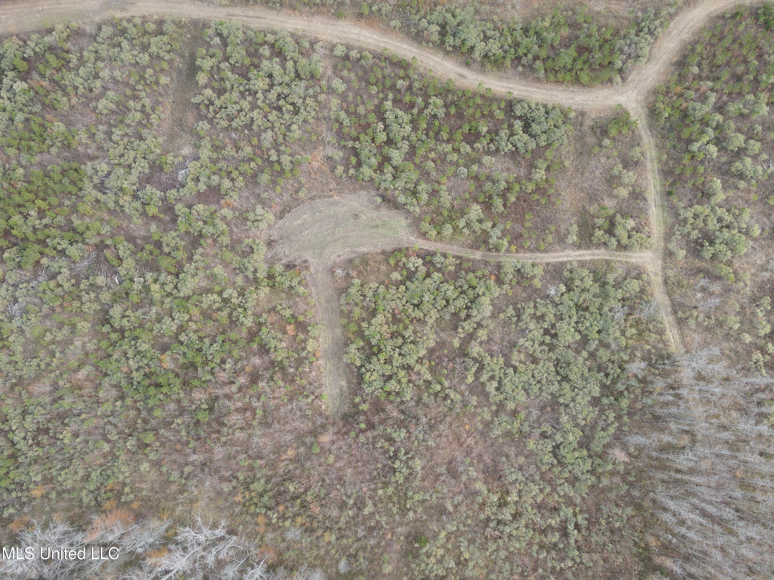 Coal Bluff Road Property Photo 14