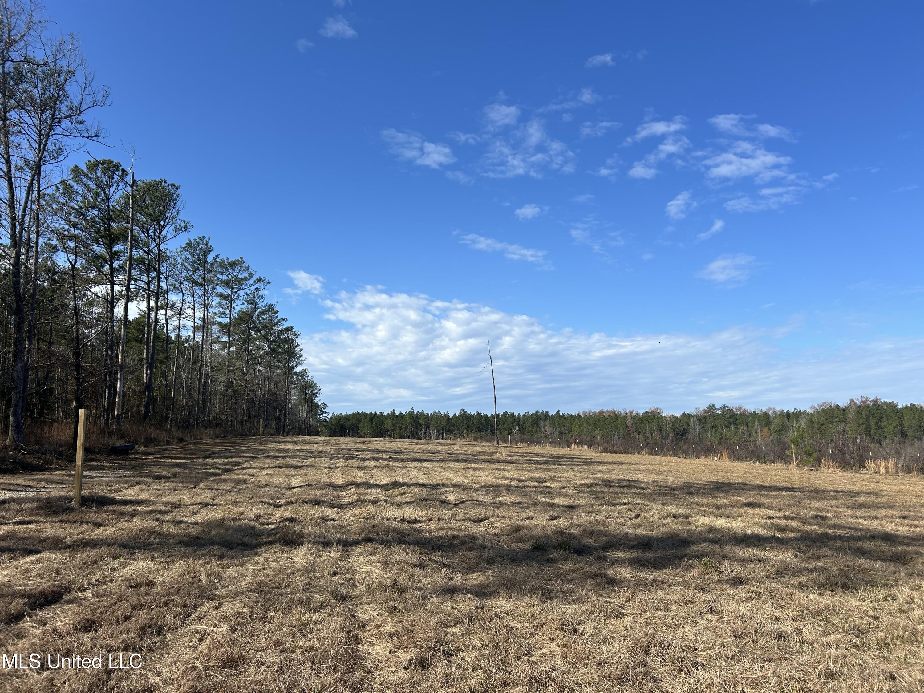Coal Bluff Road Property Photo 22