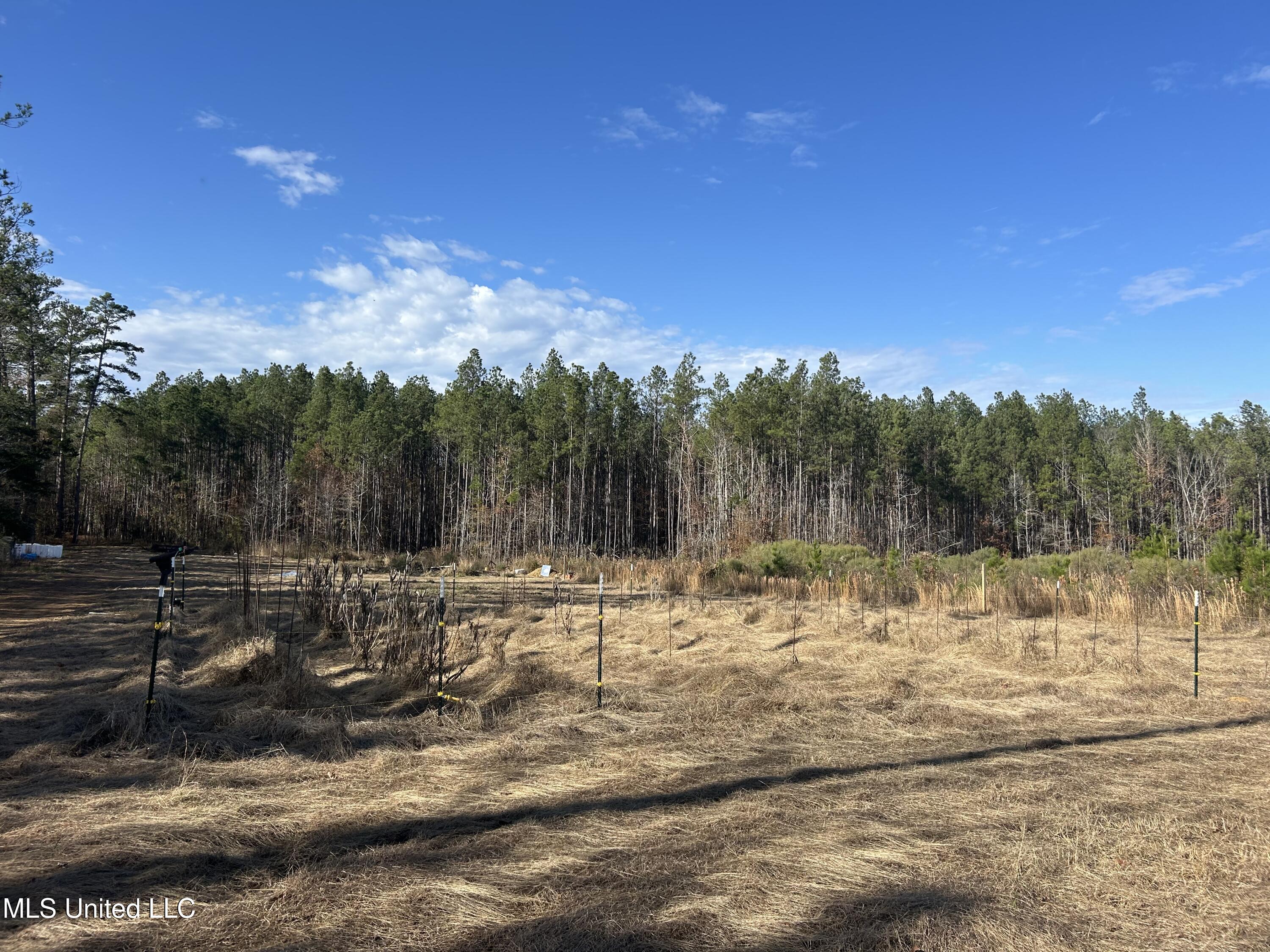 Coal Bluff Road Property Photo 25