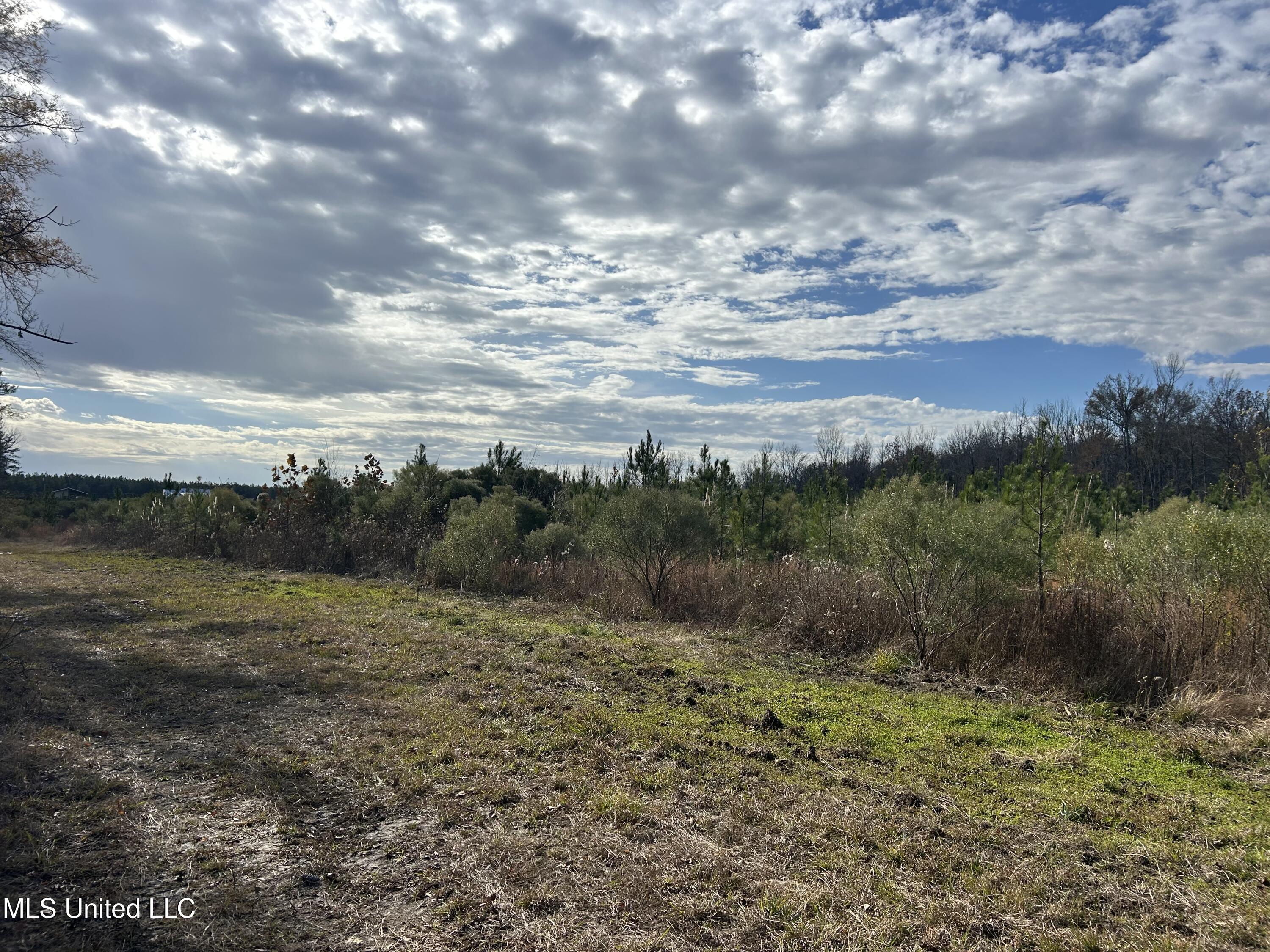 Coal Bluff Road Property Photo 29