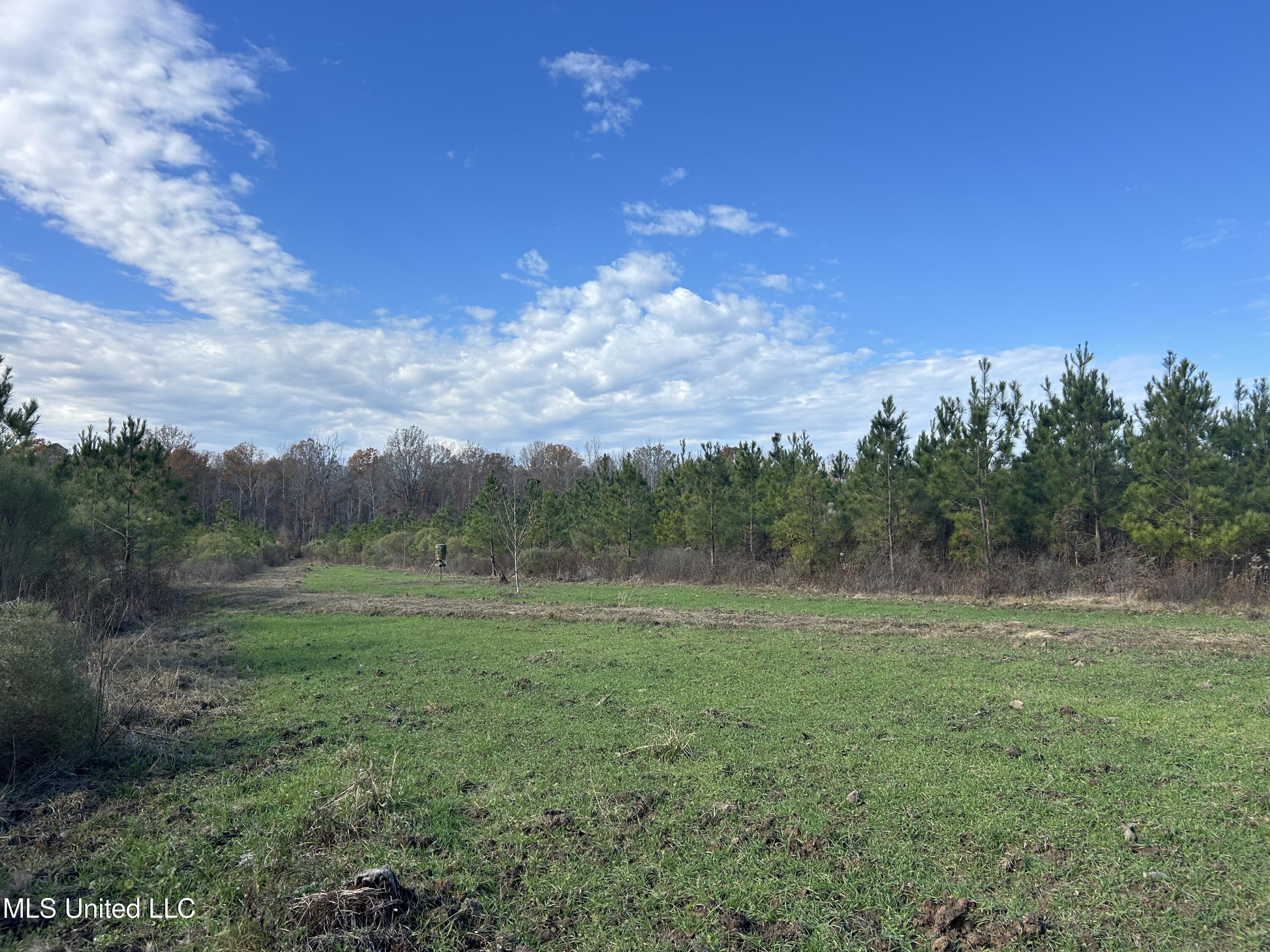 Coal Bluff Road Property Photo 33