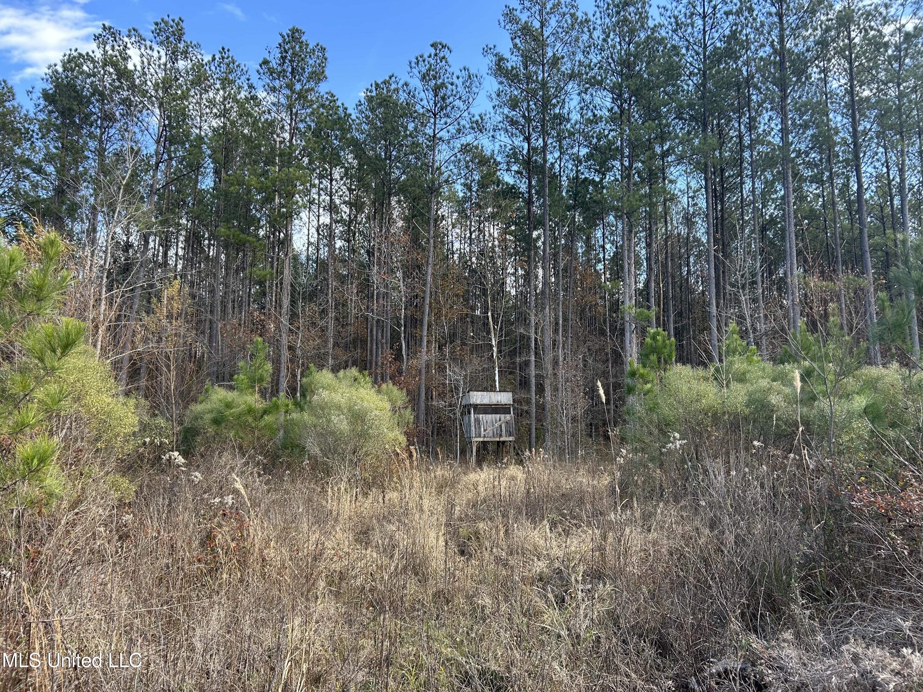 Coal Bluff Road Property Photo 34