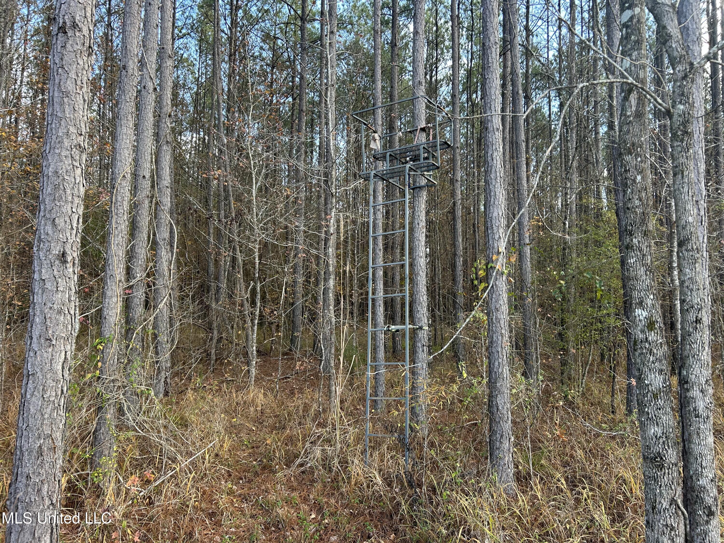 Coal Bluff Road Property Photo 37