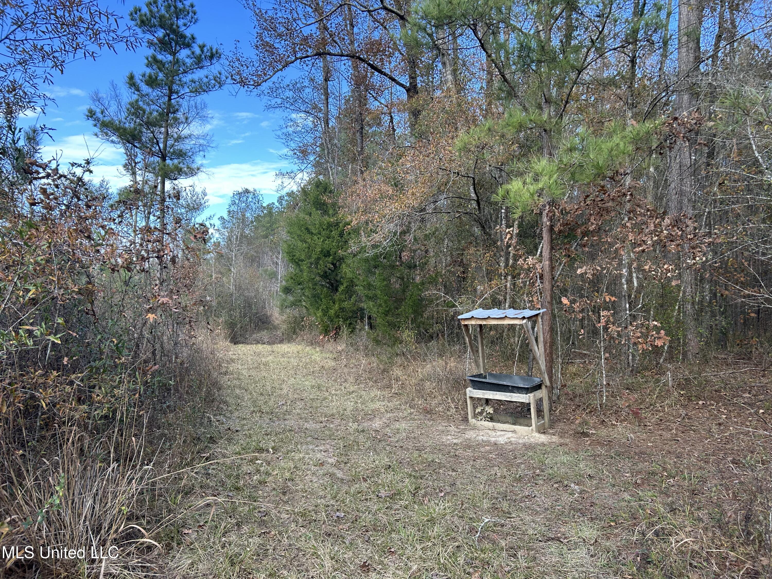 Coal Bluff Road Property Photo 38
