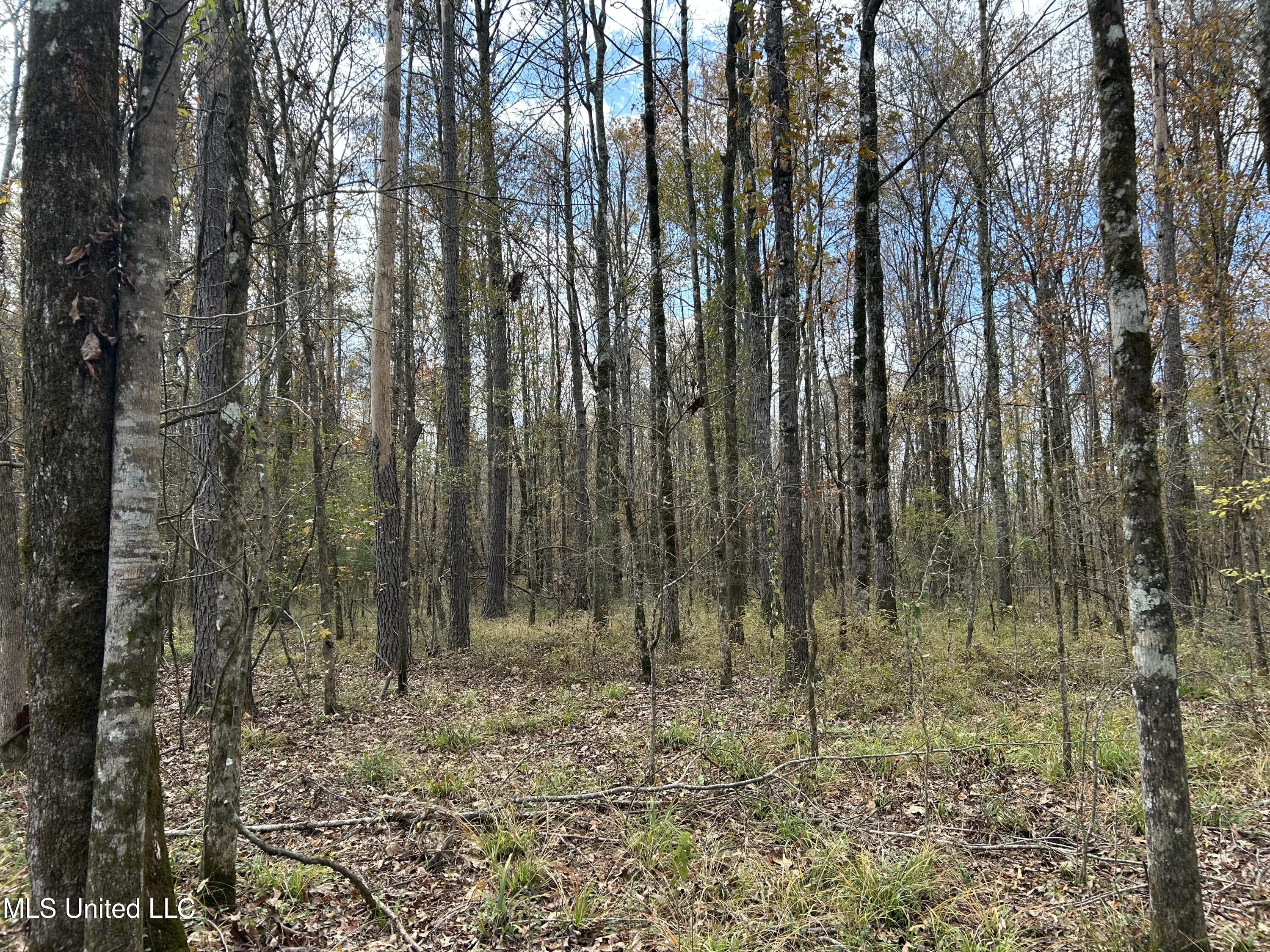 Coal Bluff Road Property Photo 43
