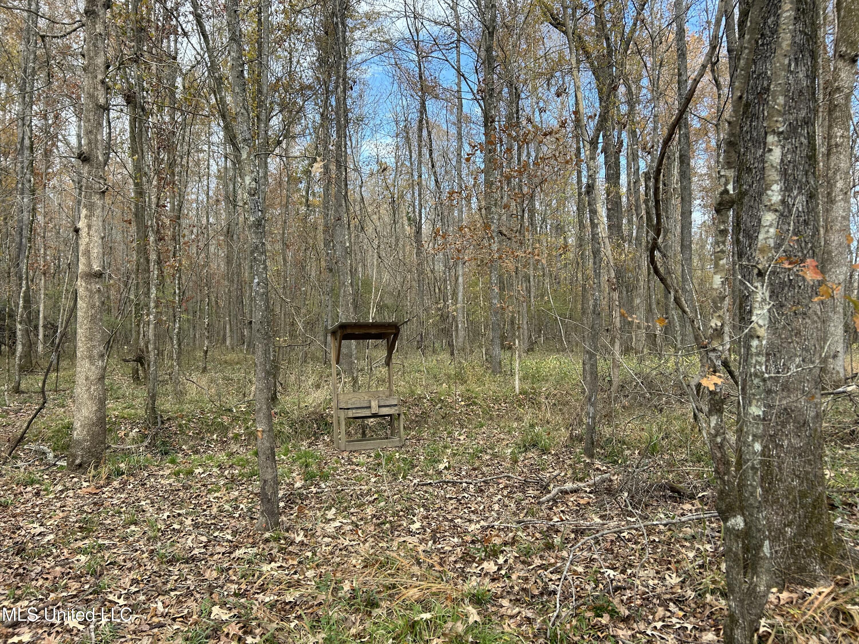 Coal Bluff Road Property Photo 44