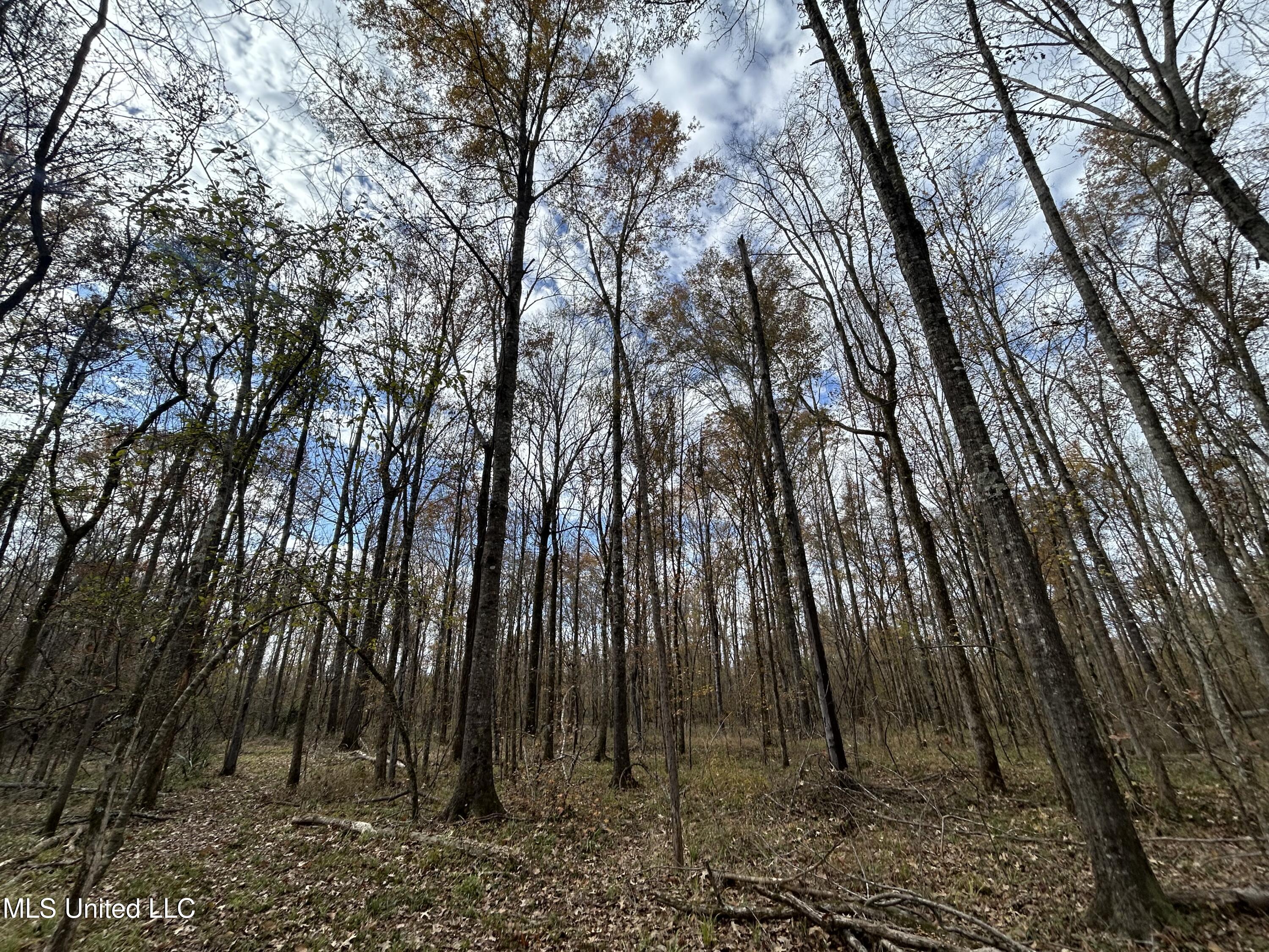 Coal Bluff Road Property Photo 45