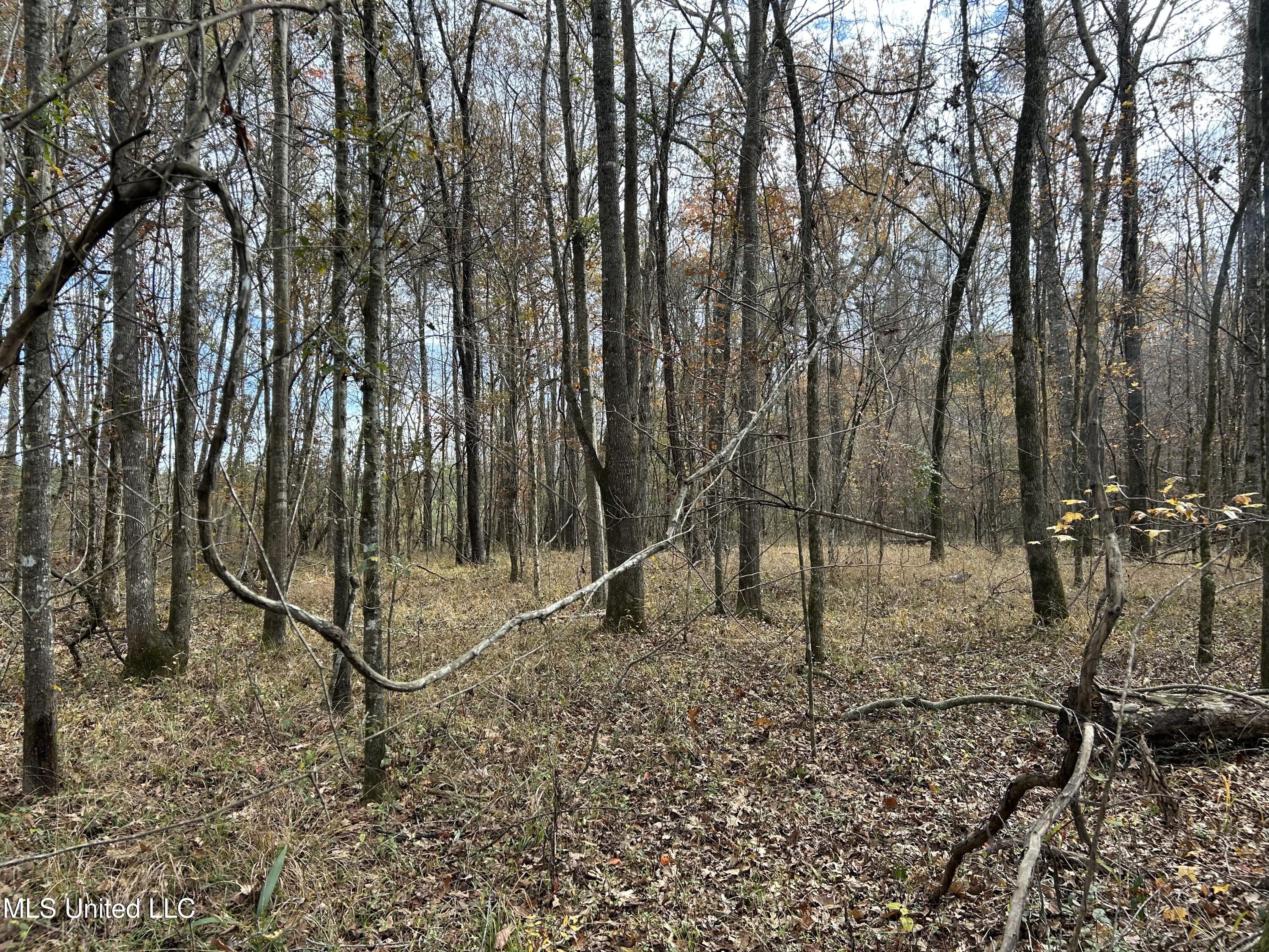 Coal Bluff Road Property Photo 46