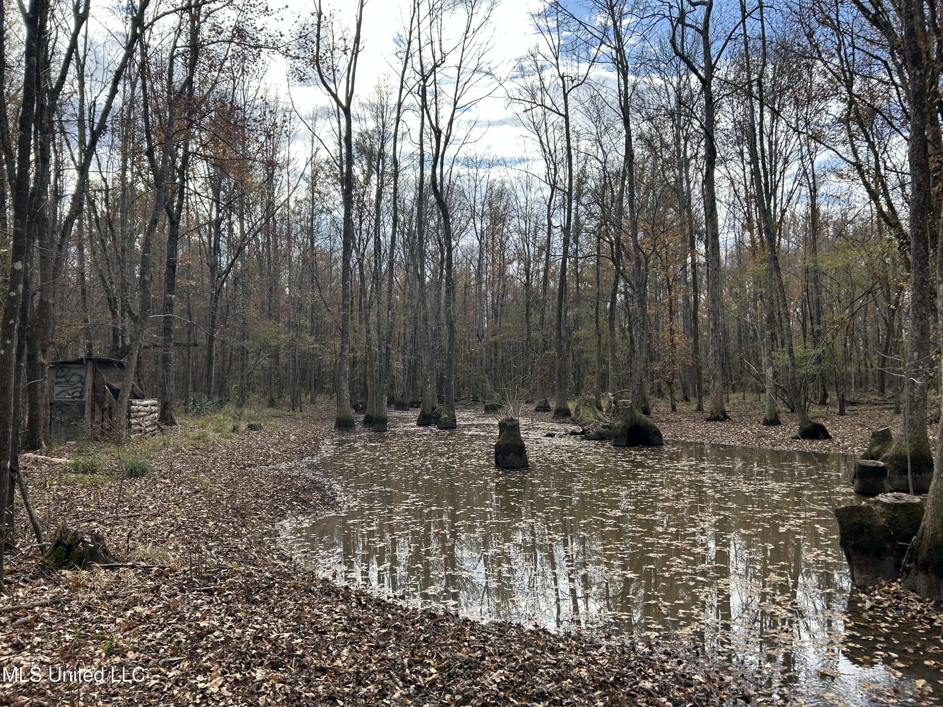 Coal Bluff Road Property Photo 47