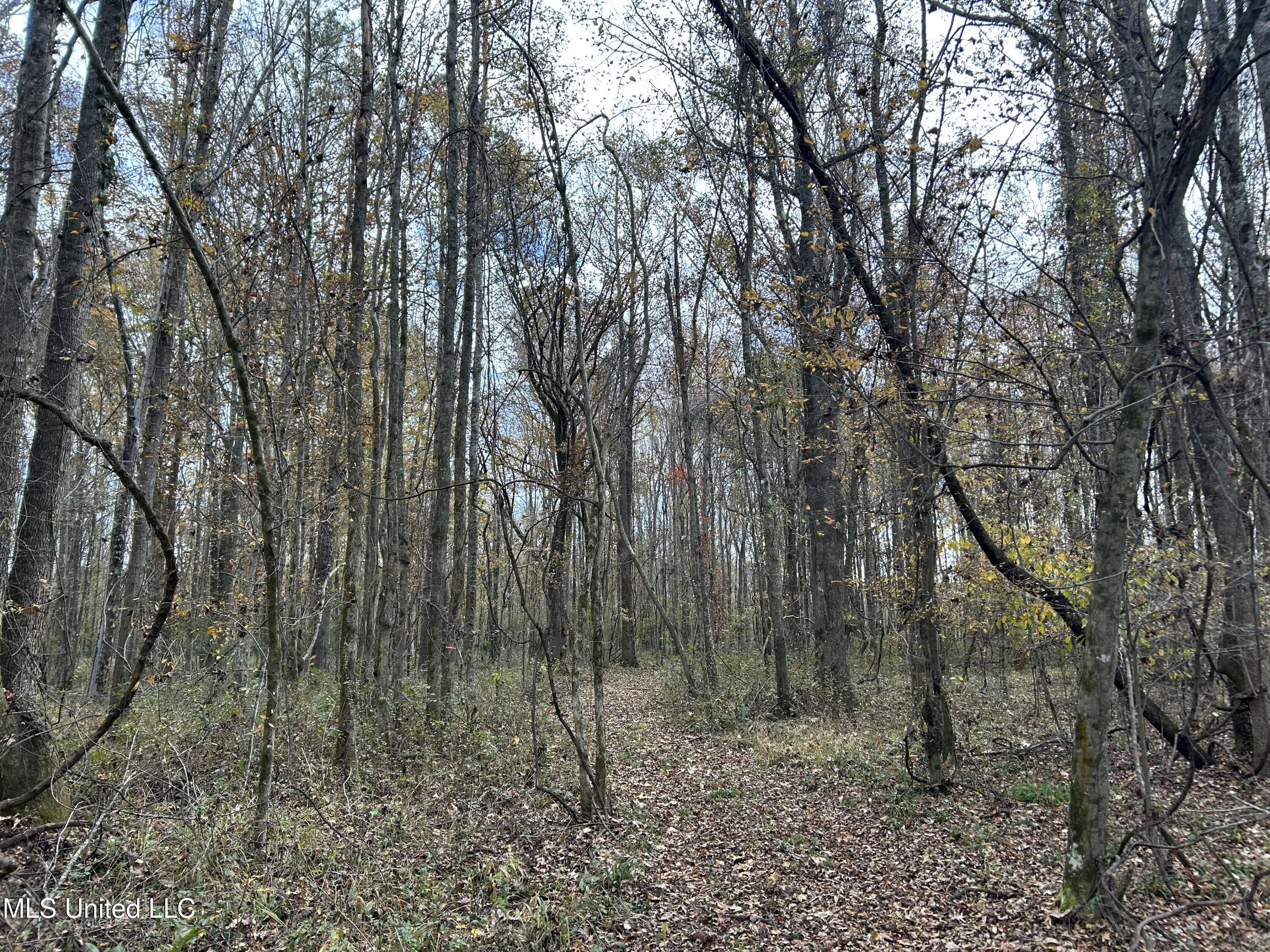 Coal Bluff Road Property Photo 52