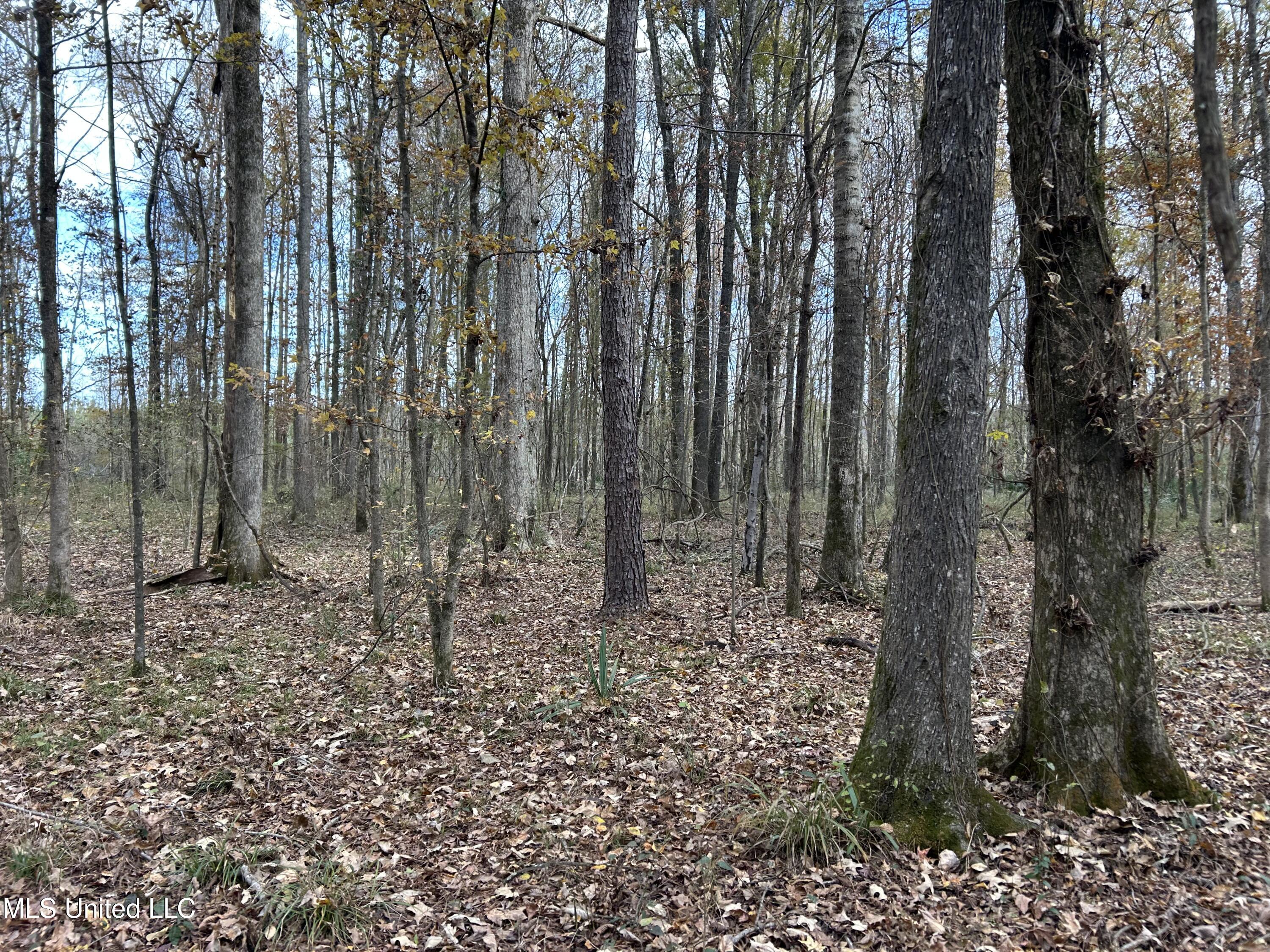 Coal Bluff Road Property Photo 53