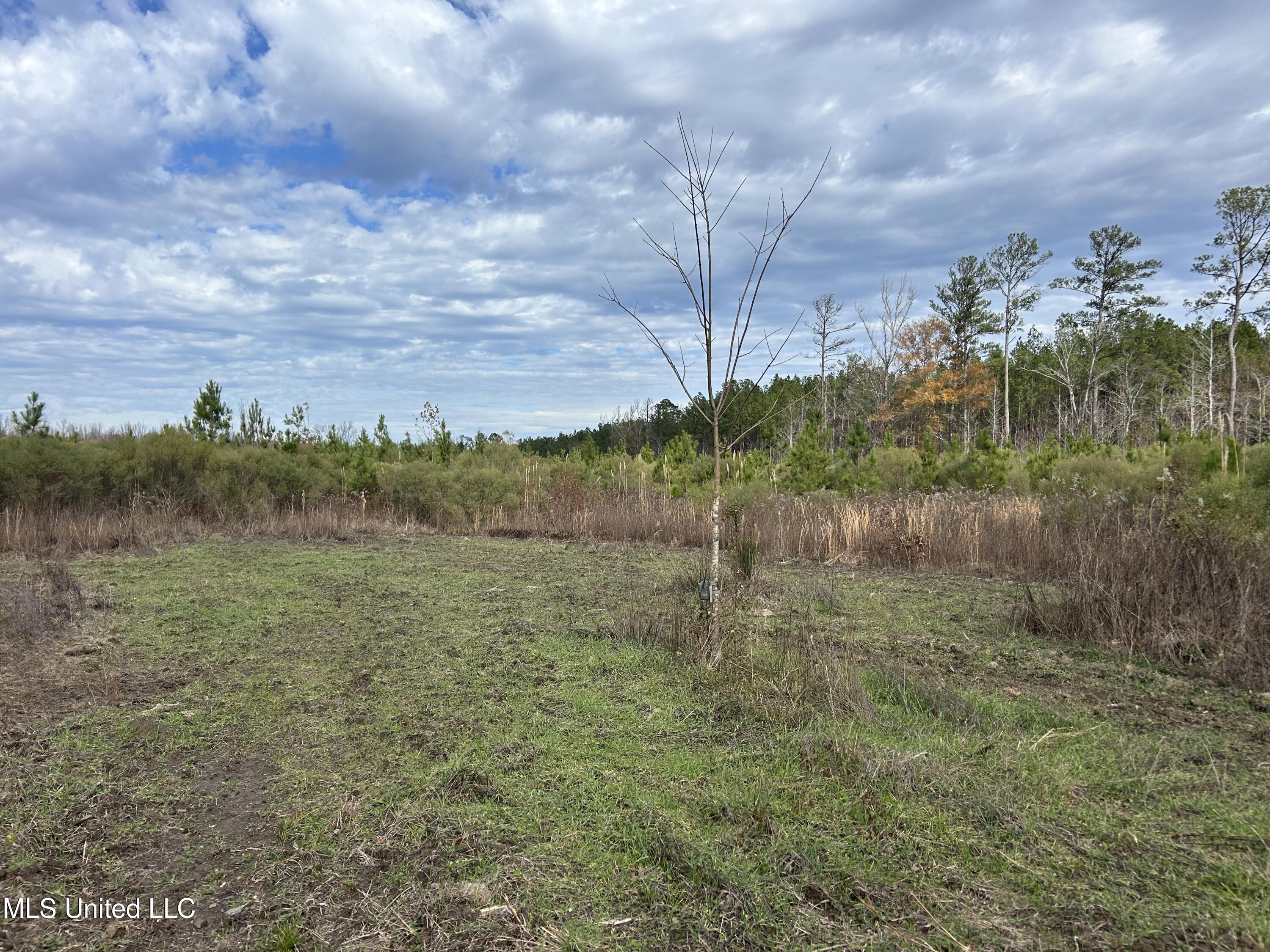 Coal Bluff Road Property Photo 55