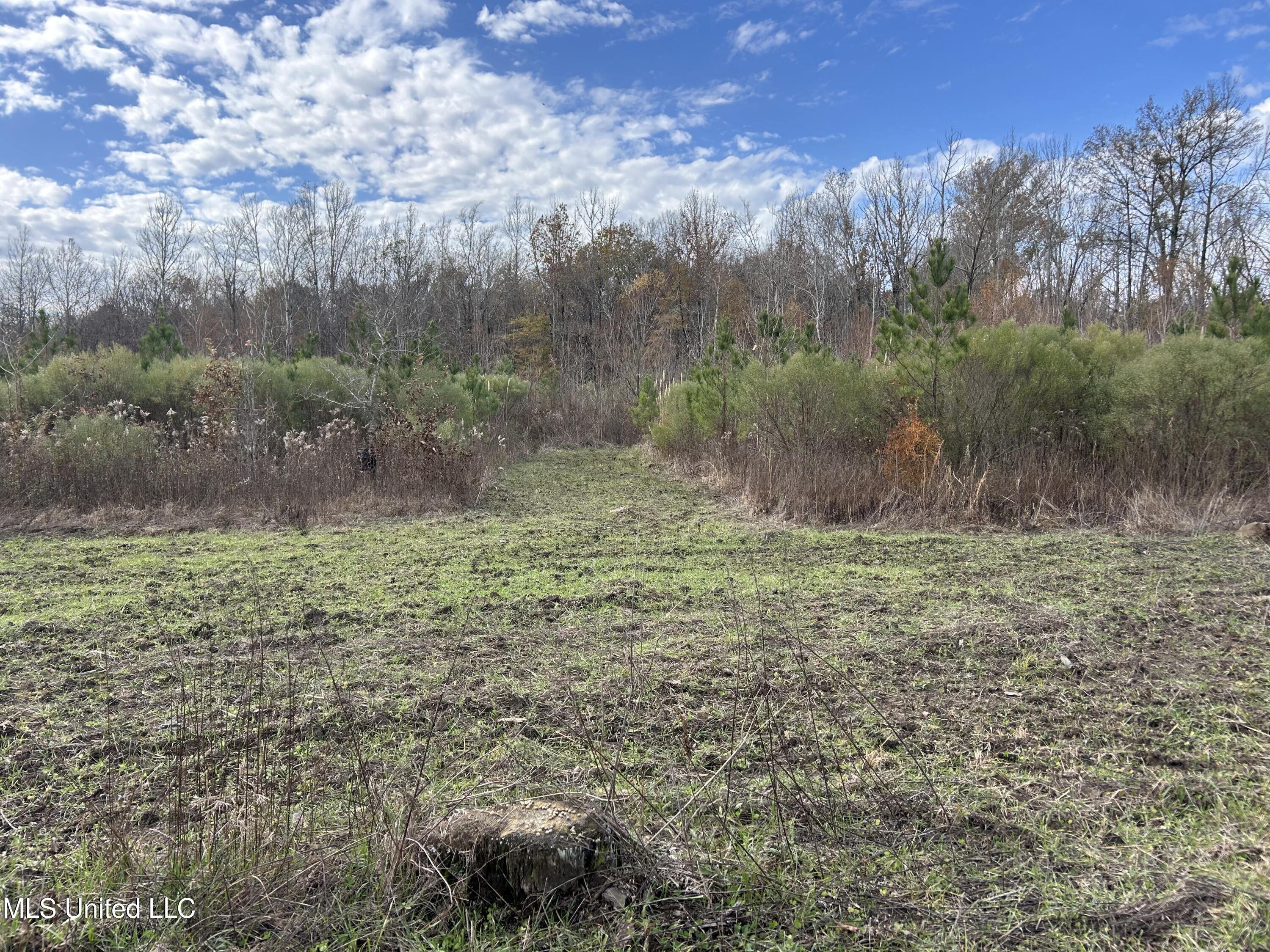 Coal Bluff Road Property Photo 56