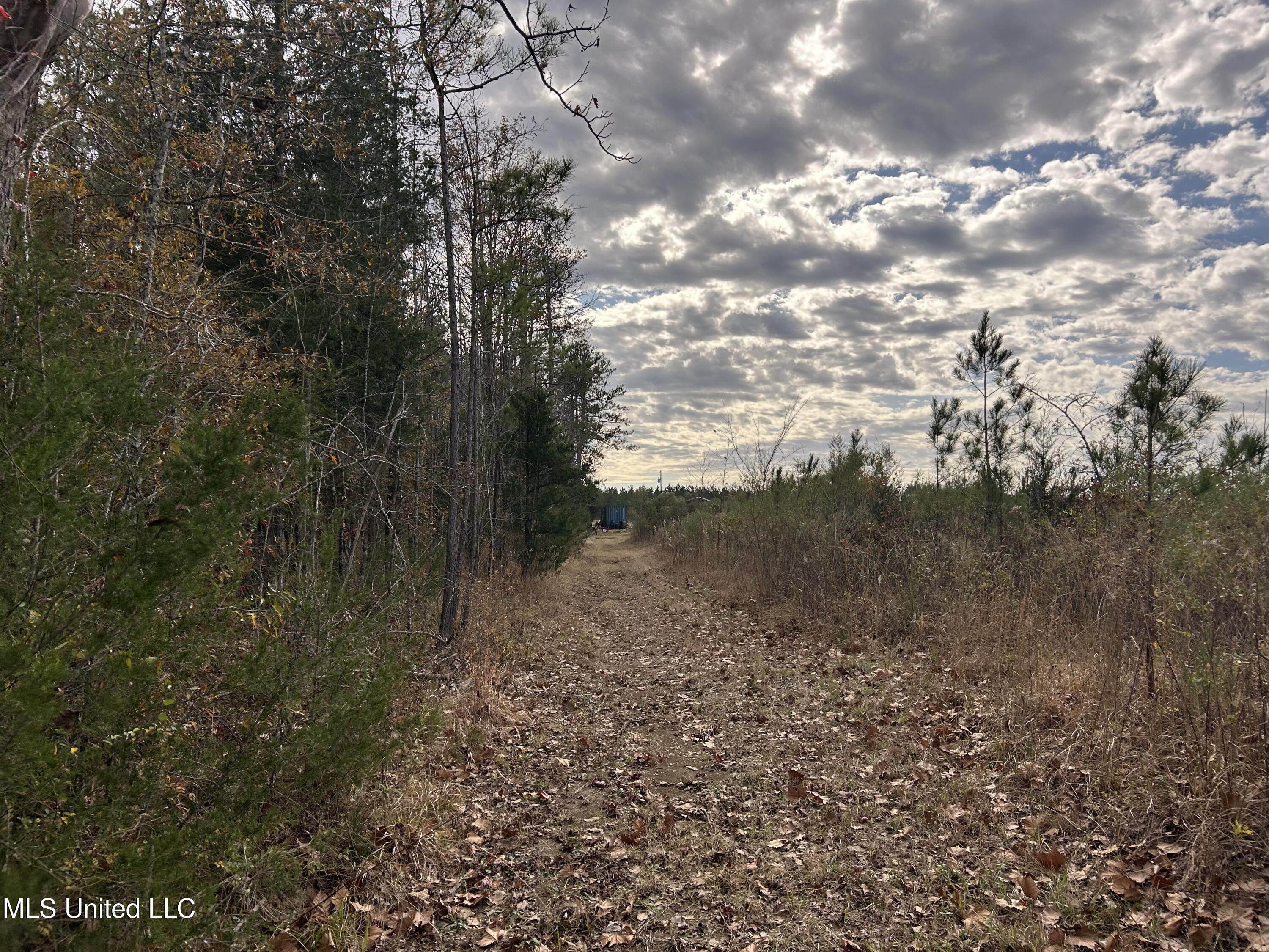 Coal Bluff Road Property Photo 58